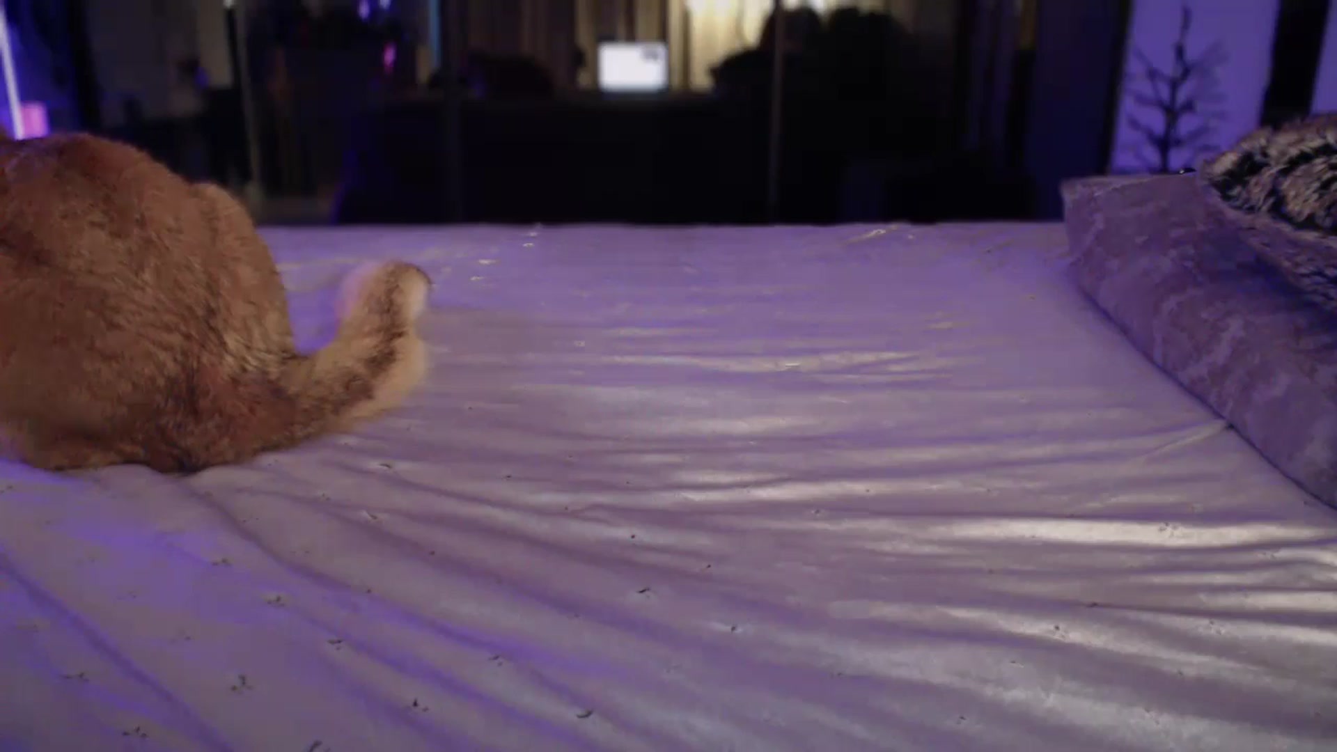 Gallery image thumbnail from UGLYGIRL_'s myfreecams stream on, 01/04/2025, 06:42 image 7 of 20