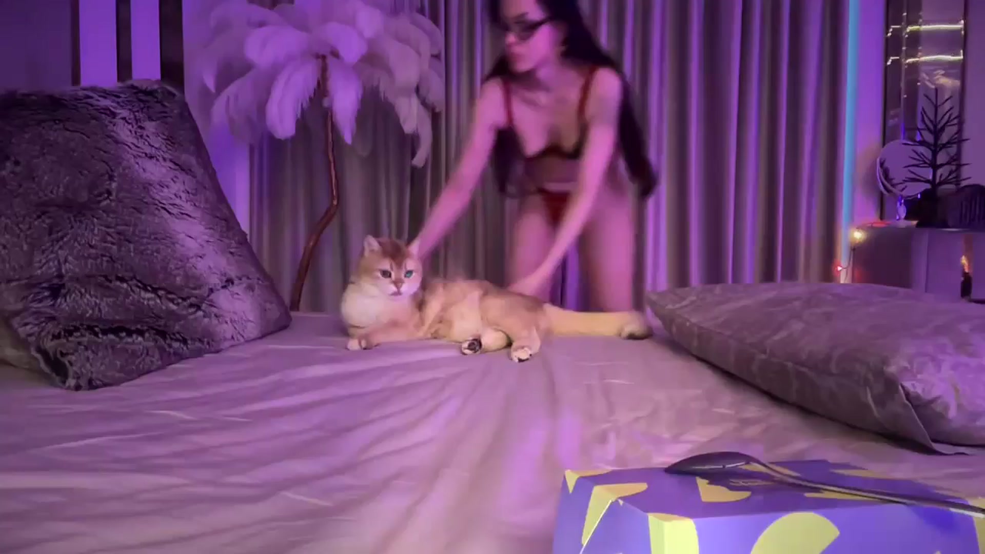 Gallery image thumbnail from UGLYGIRL_'s myfreecams stream on, 01/08/2025, 06:25 image 1 of 20