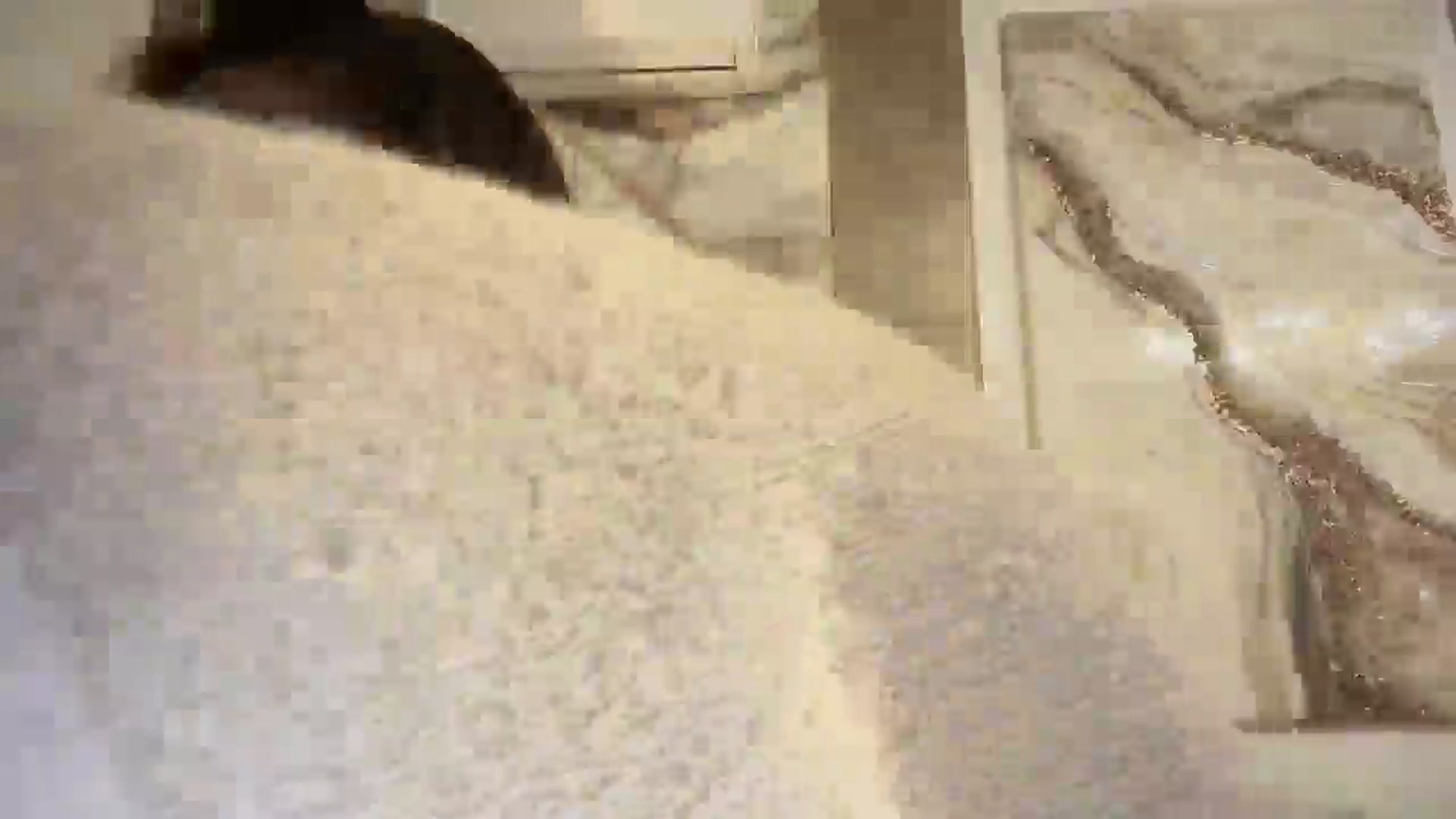 Gallery image thumbnail from UGLYGIRL_'s myfreecams stream on, 01/21/2025, 18:36 image 2 of 20