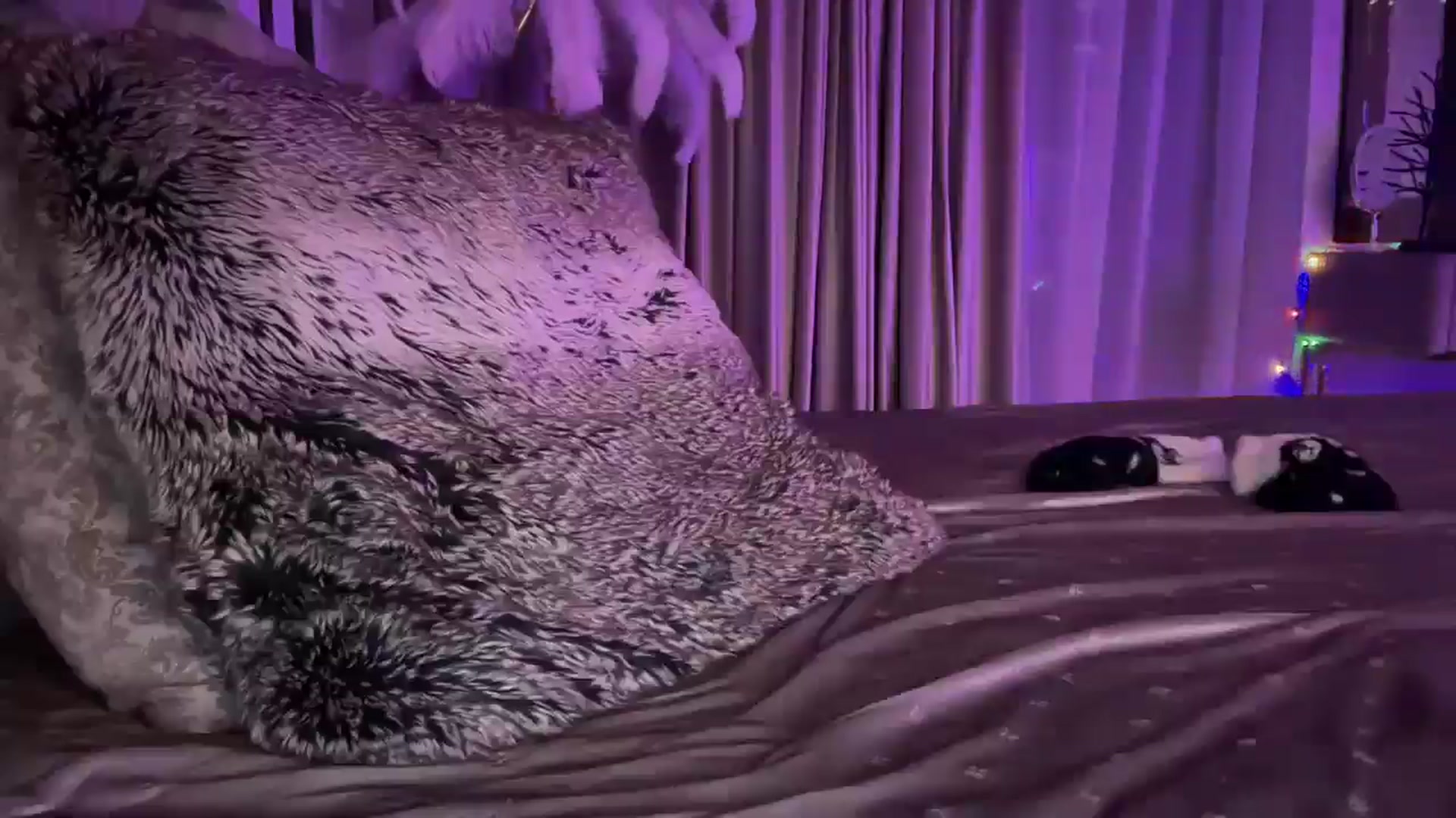 Gallery image thumbnail from UGLYGIRL_'s myfreecams stream on, 01/21/2025, 21:18 image 3 of 20