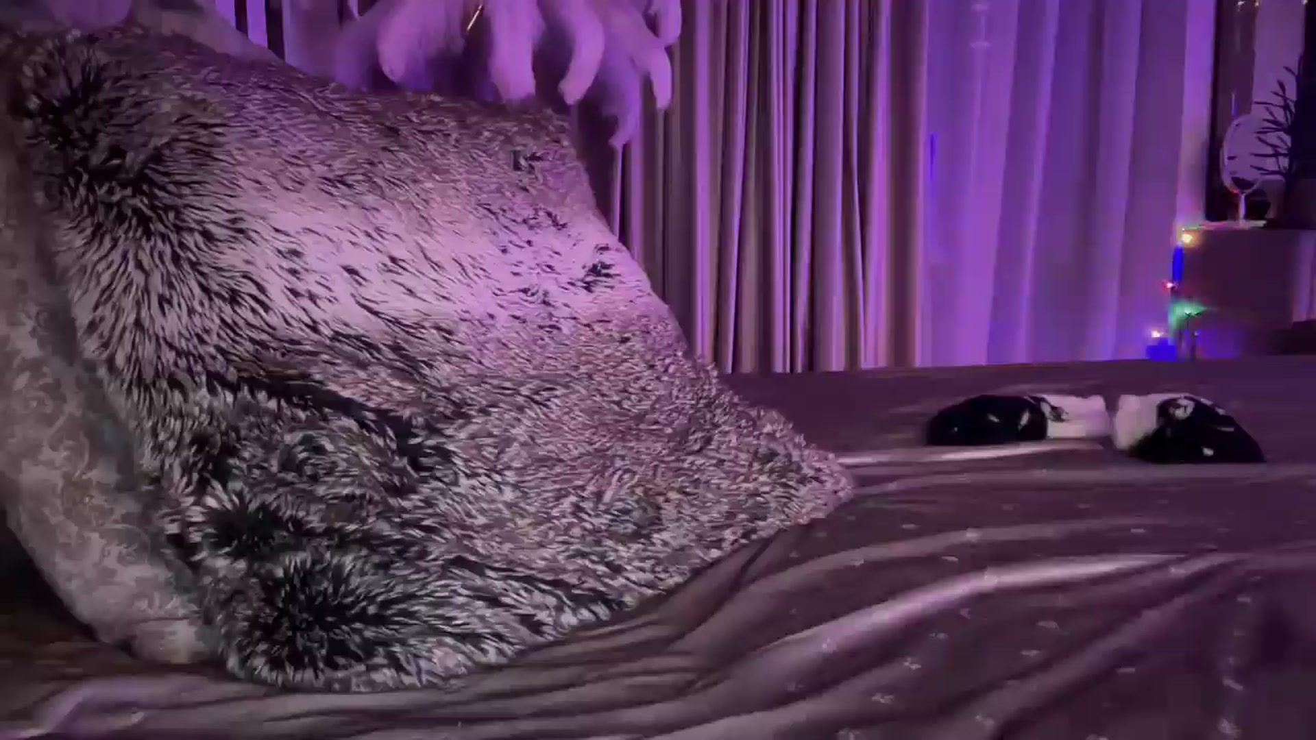 Gallery image thumbnail from UGLYGIRL_'s myfreecams stream on, 01/21/2025, 21:18 image 13 of 20