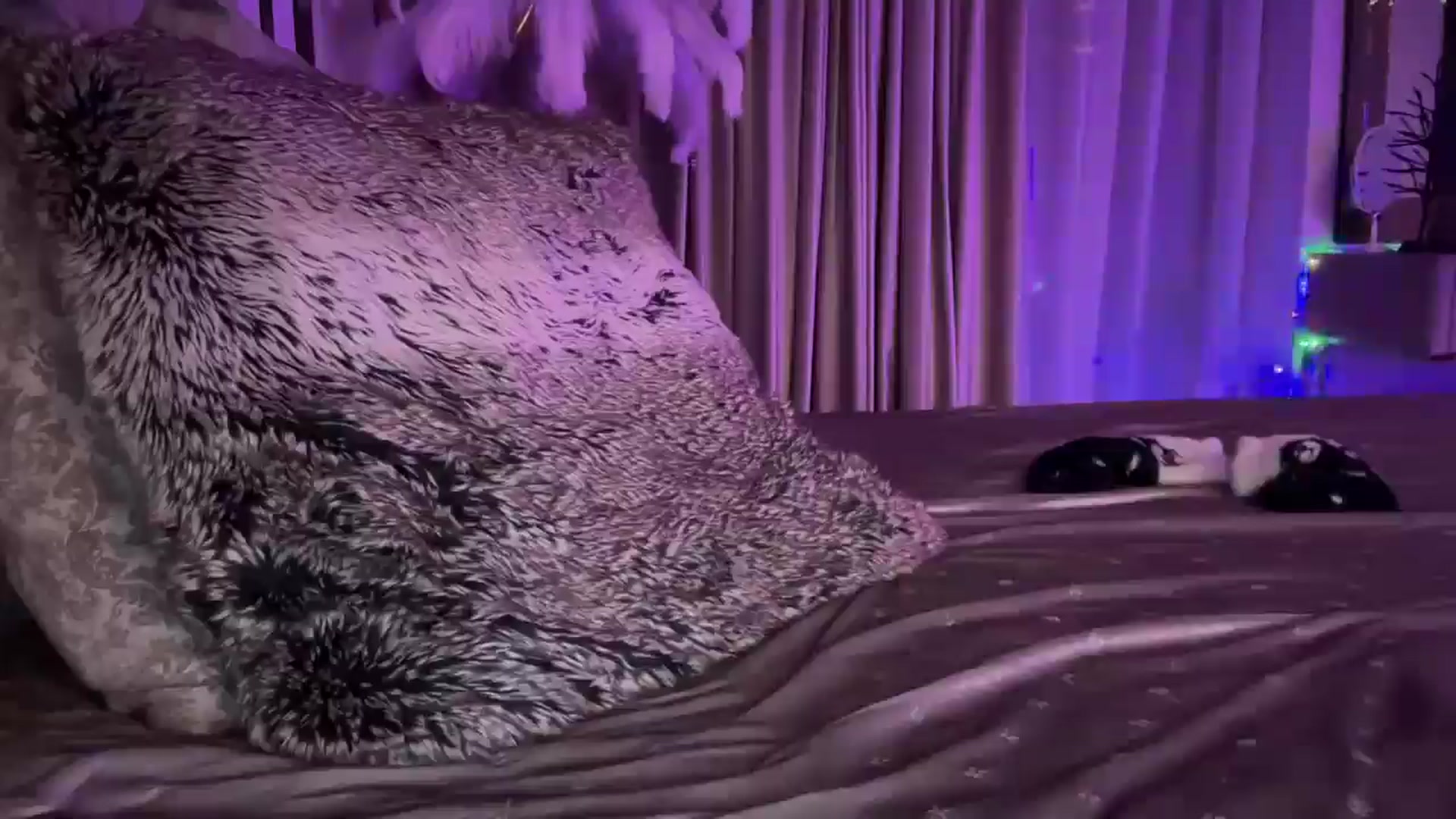 Gallery image thumbnail from UGLYGIRL_'s myfreecams stream on, 01/21/2025, 21:18 image 5 of 20