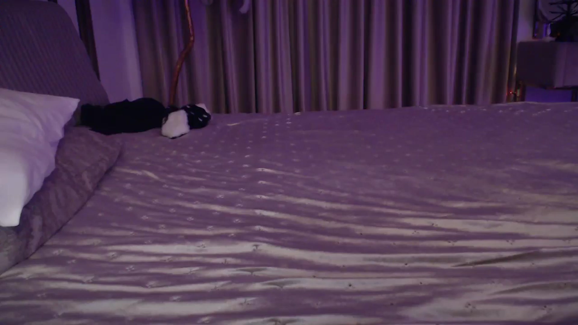 Gallery image thumbnail from UGLYGIRL_'s myfreecams stream on, 02/01/2025, 22:46 image 19 of 20