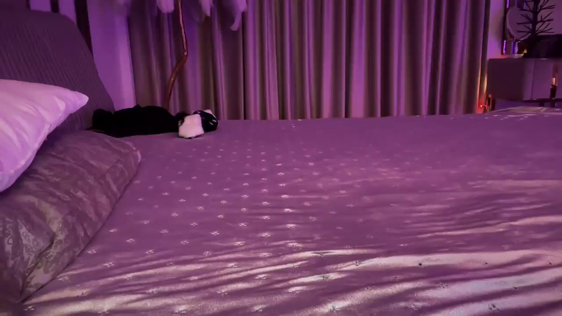 Gallery image thumbnail from UGLYGIRL_'s myfreecams stream on, 02/02/2025, 01:52 image 8 of 20