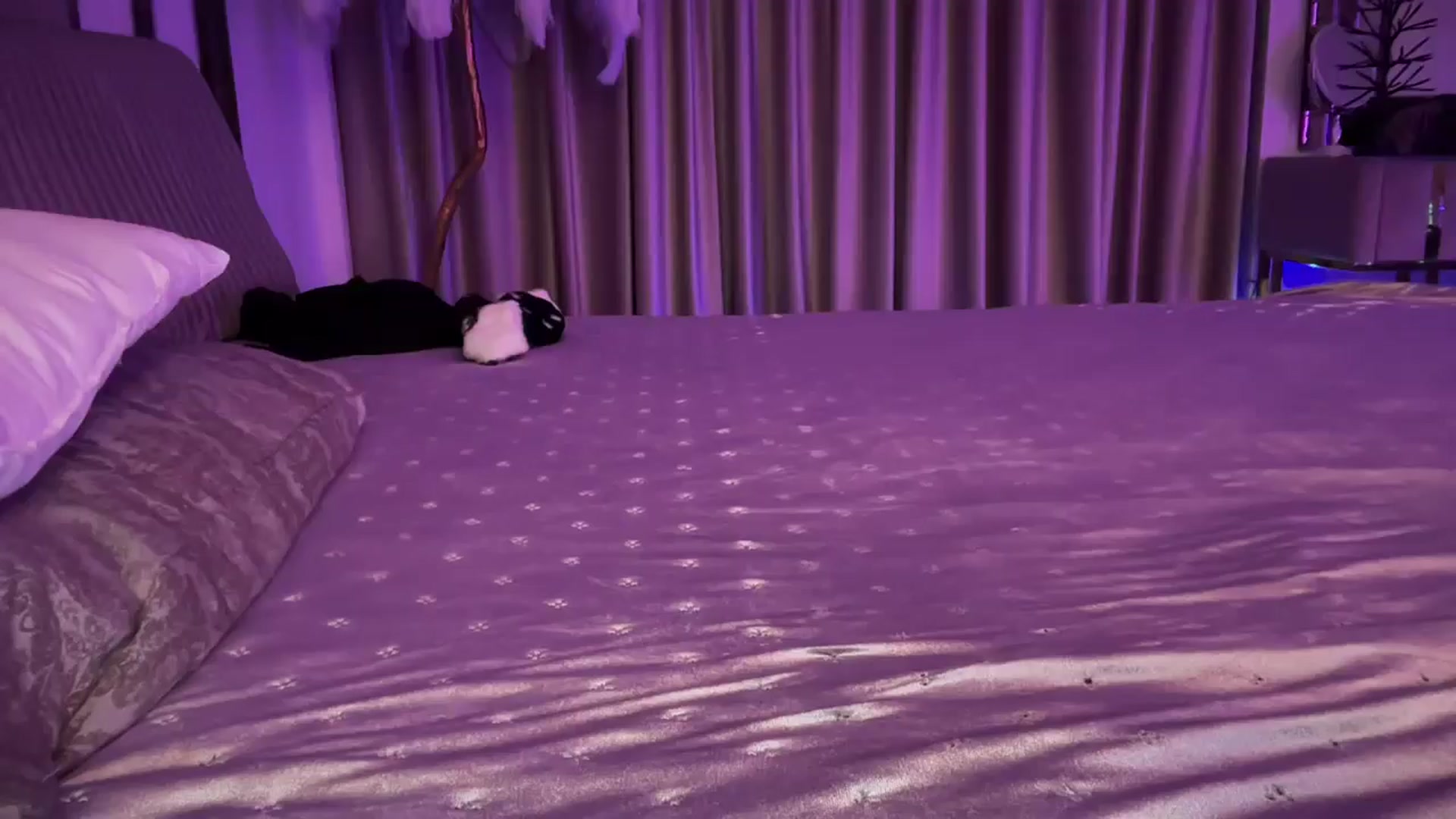 Gallery image thumbnail from UGLYGIRL_'s myfreecams stream on, 02/02/2025, 01:52 image 9 of 20