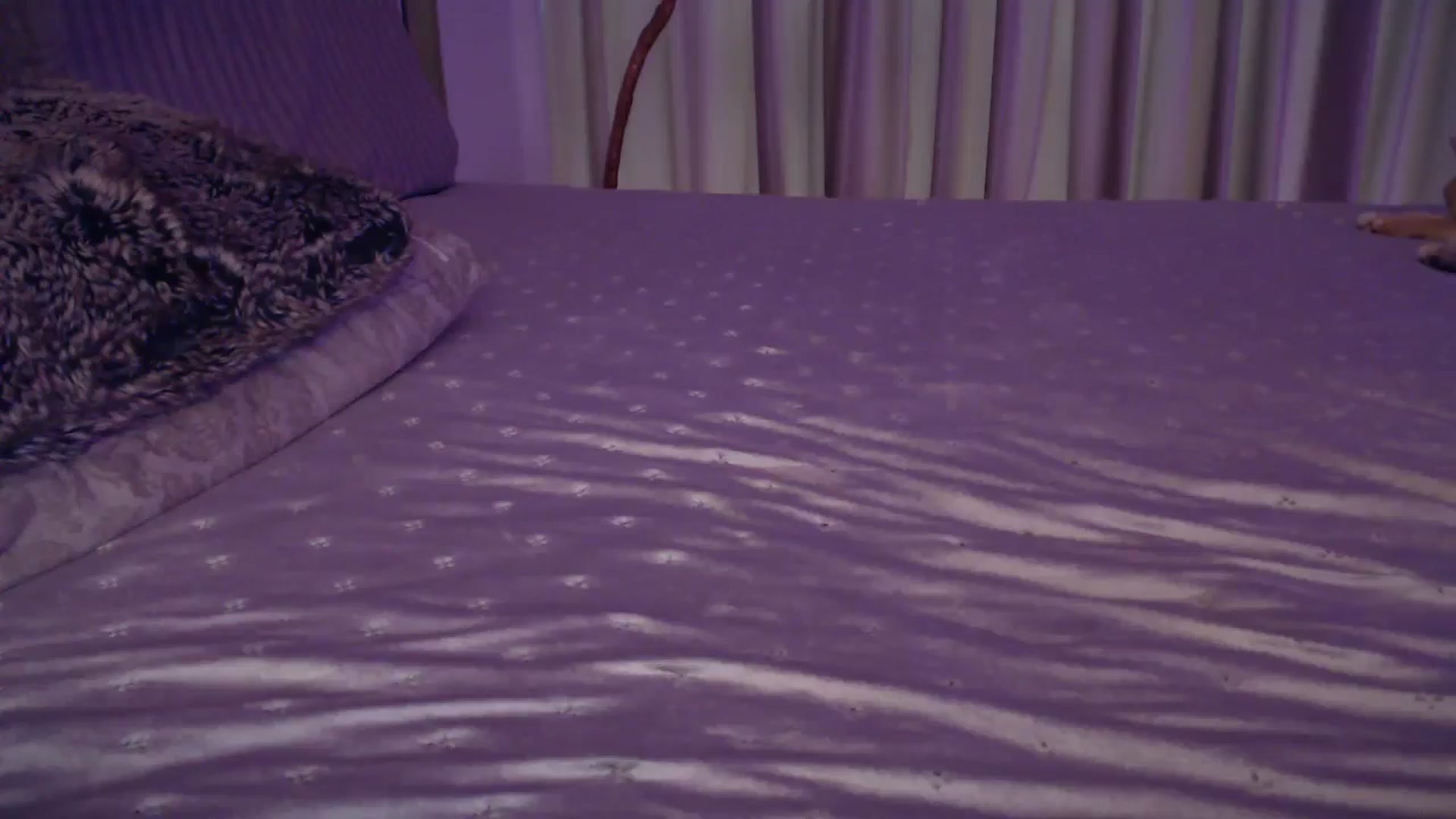 Gallery image thumbnail from UGLYGIRL_'s myfreecams stream on, 02/03/2025, 06:13 image 16 of 20