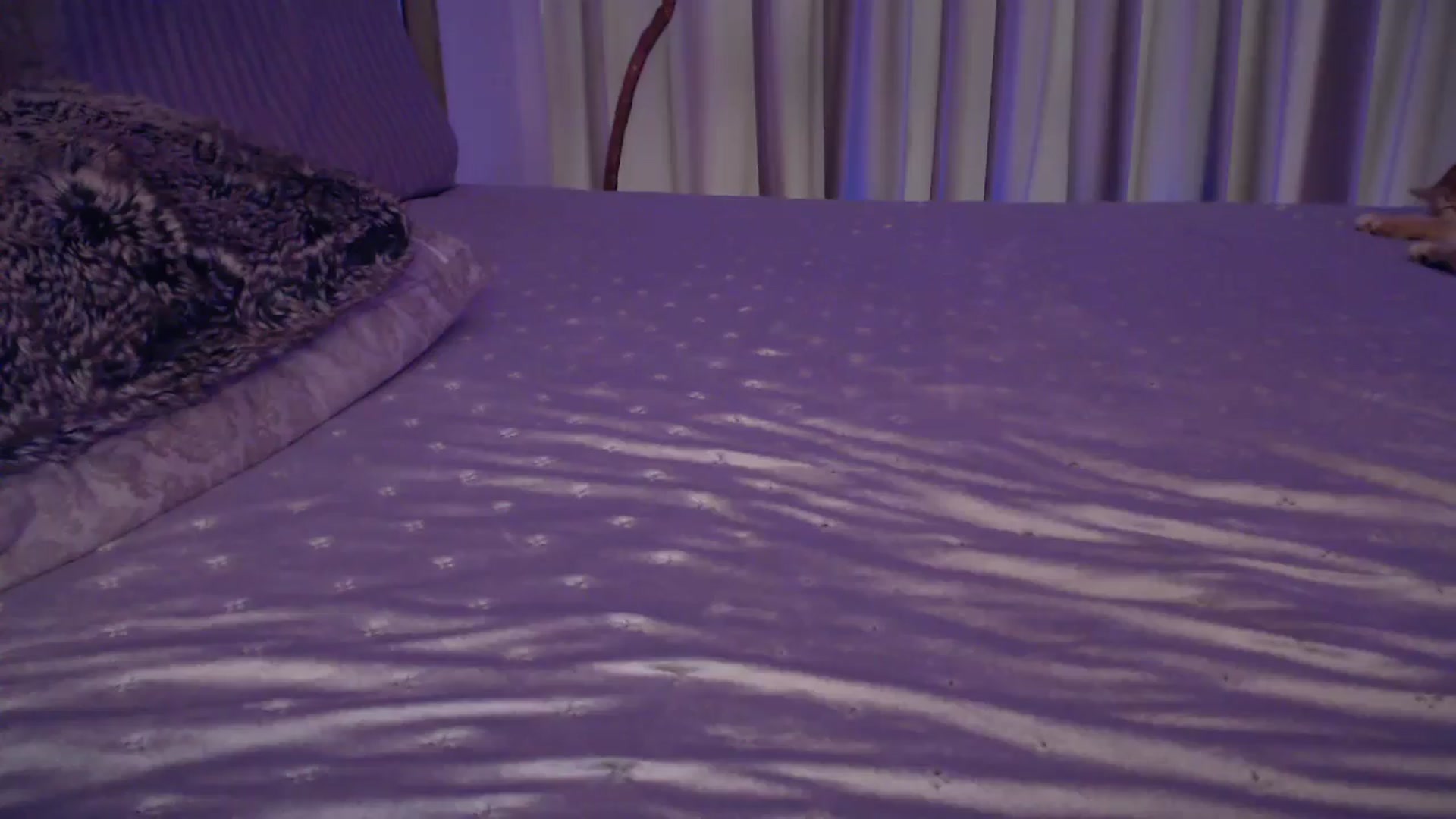 Gallery image thumbnail from UGLYGIRL_'s myfreecams stream on, 02/03/2025, 06:13 image 20 of 20