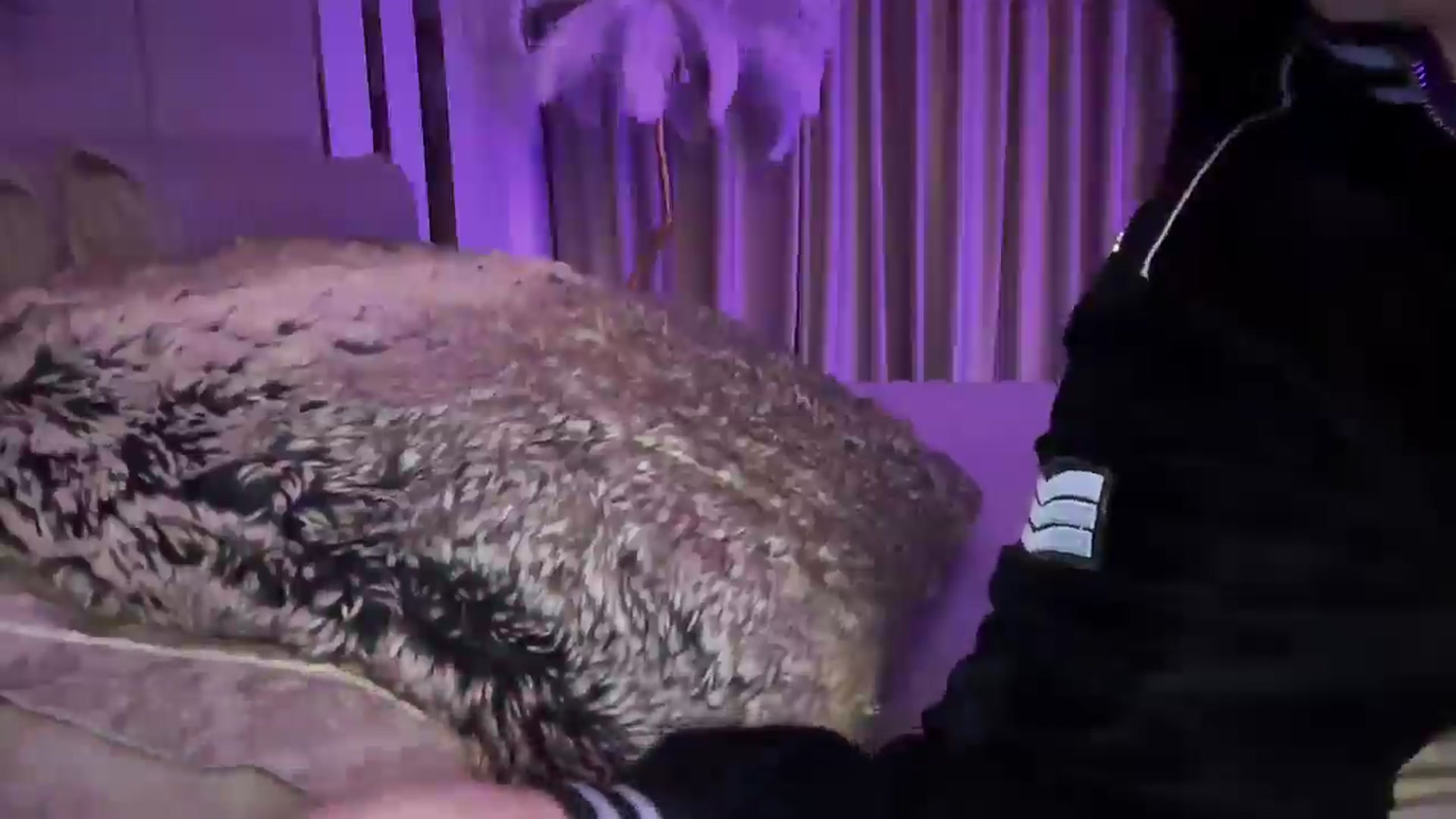 Gallery image thumbnail from UGLYGIRL_'s myfreecams stream on, 02/08/2025, 19:30 image 7 of 20