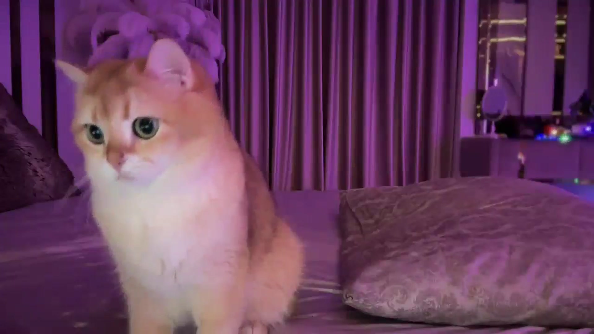 Gallery image thumbnail from UGLYGIRL_'s myfreecams stream on, 02/14/2025, 02:53 image 8 of 20