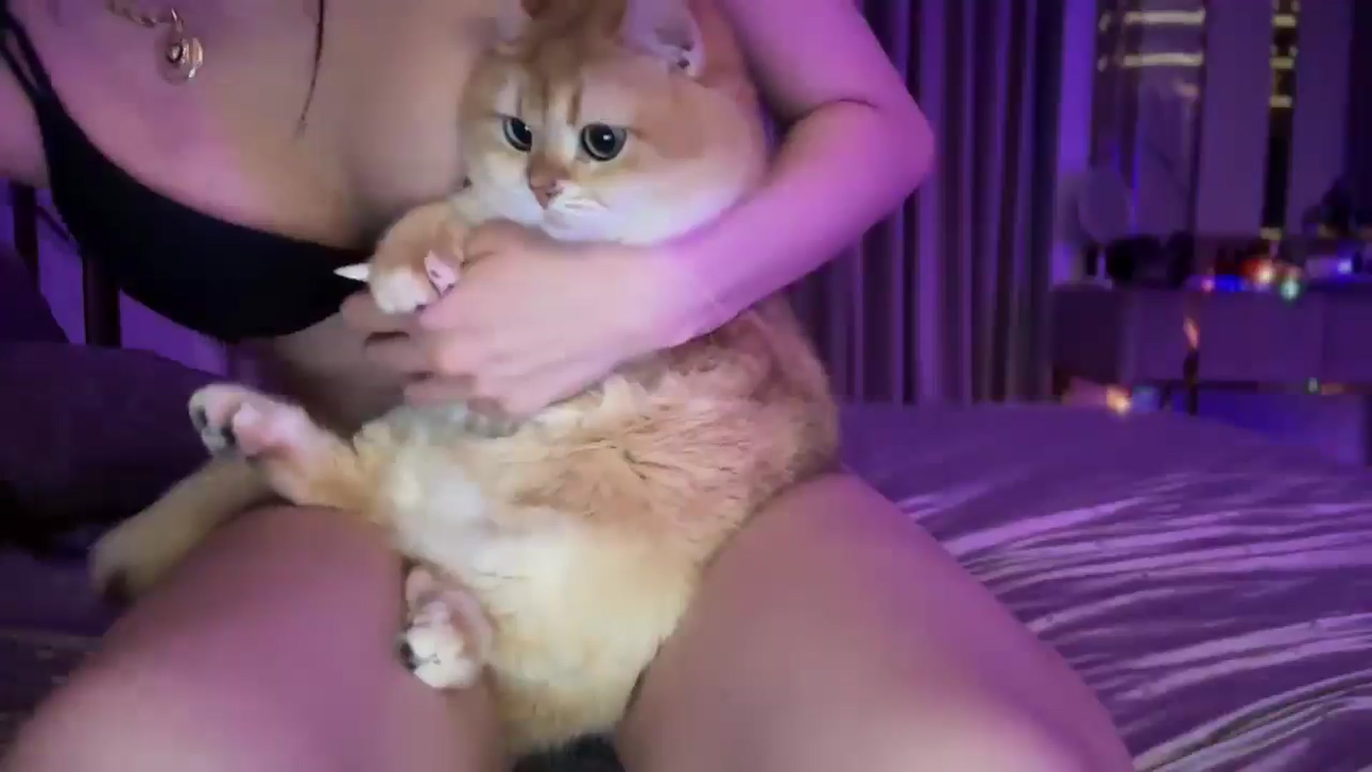 Gallery image thumbnail from UGLYGIRL_'s myfreecams stream on, 02/18/2025, 02:12 image 3 of 20