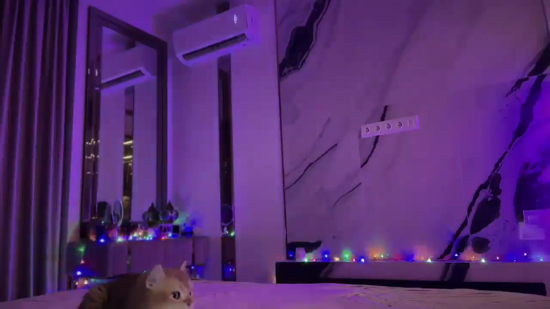 Gallery image thumbnail from UGLYGIRL_'s myfreecams stream on, 03/11/2025, 23:21 image 14 of 20