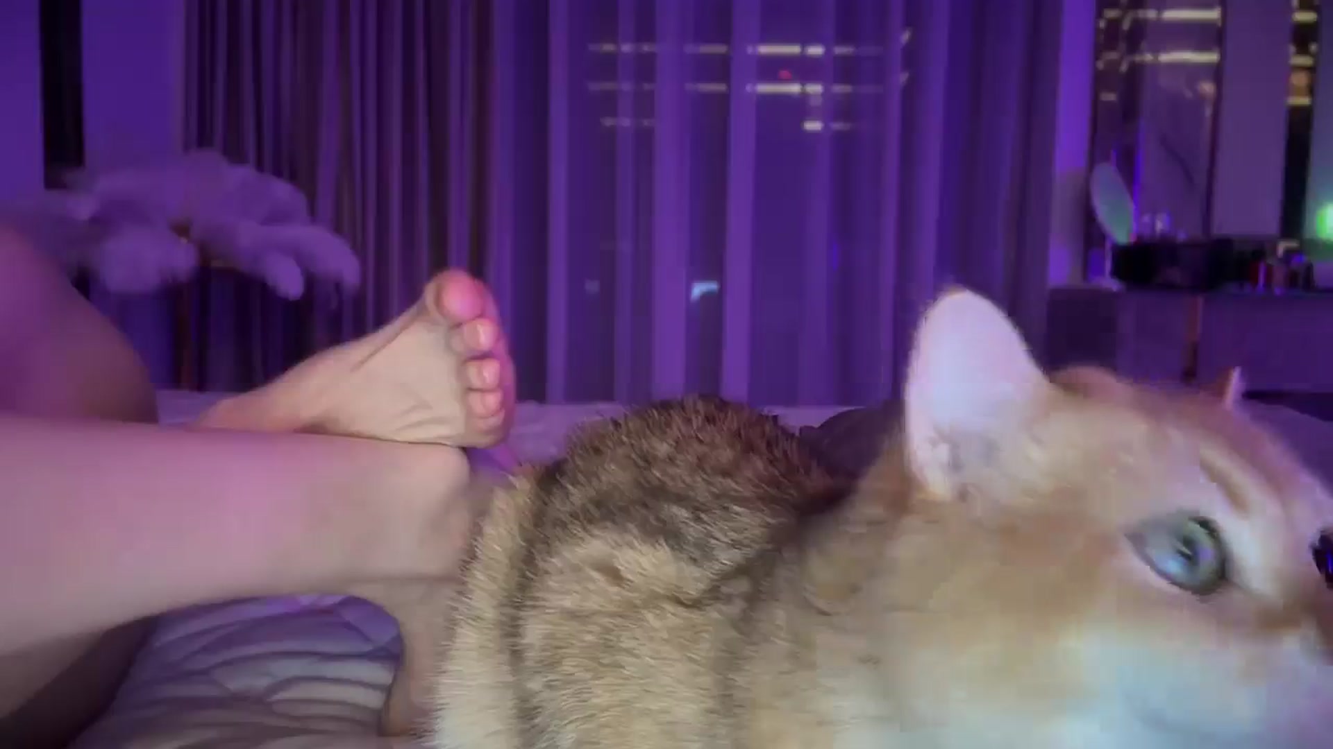 Gallery image thumbnail from UGLYGIRL_'s myfreecams stream on, 03/19/2025, 04:27 image 4 of 20