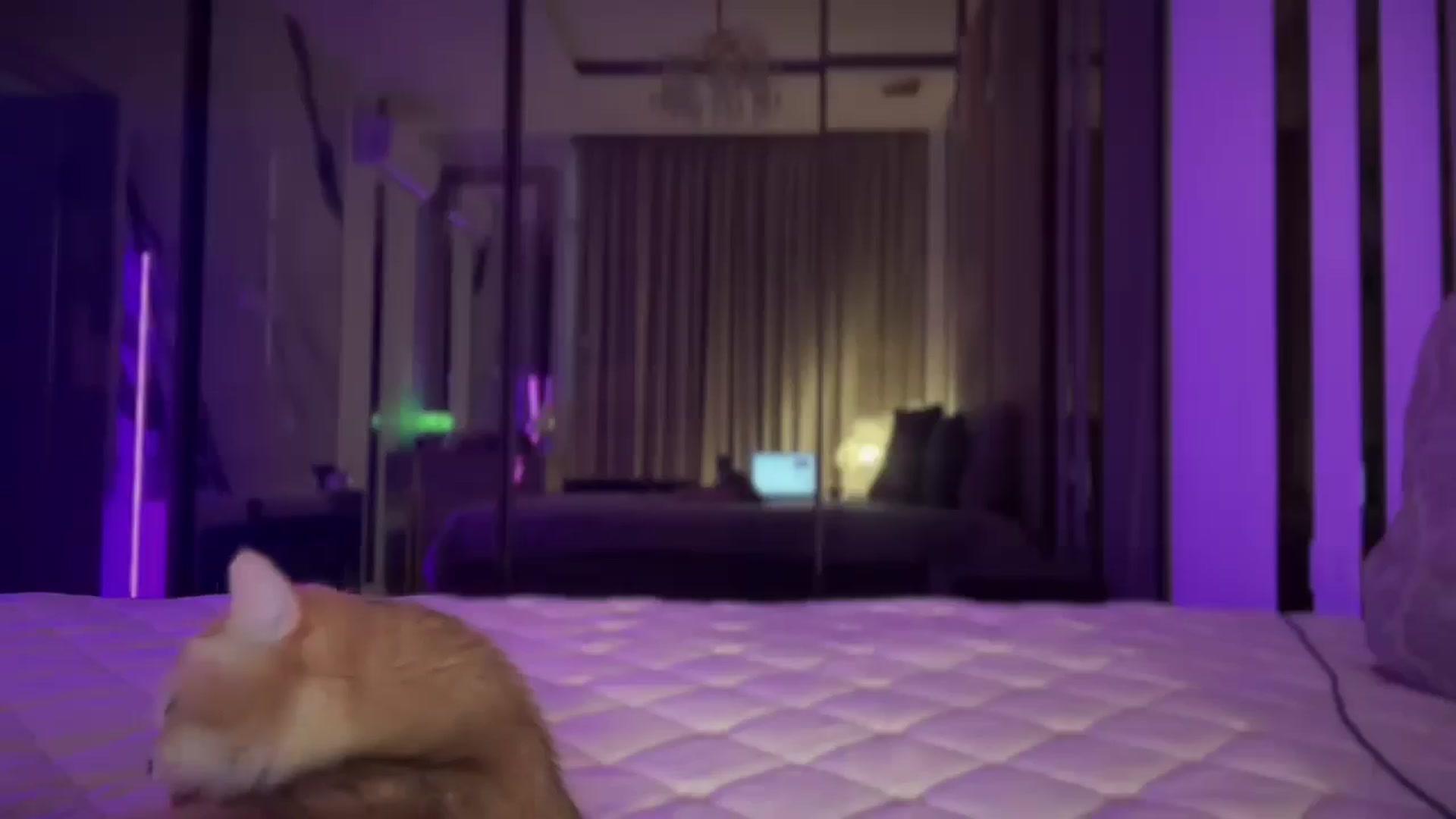 Gallery image thumbnail from UGLYGIRL_'s myfreecams stream on, 03/21/2025, 04:48 image 3 of 20