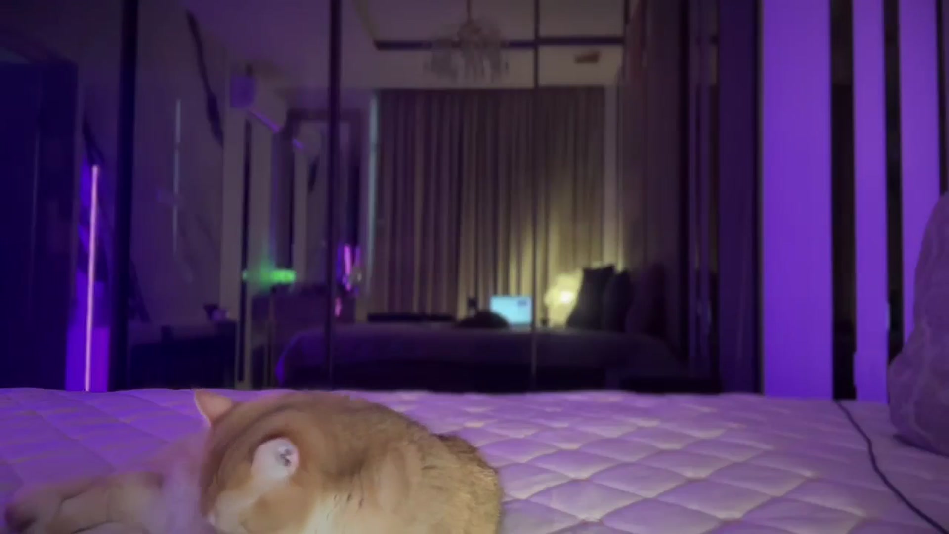Gallery image thumbnail from UGLYGIRL_'s myfreecams stream on, 03/21/2025, 04:48 image 4 of 20