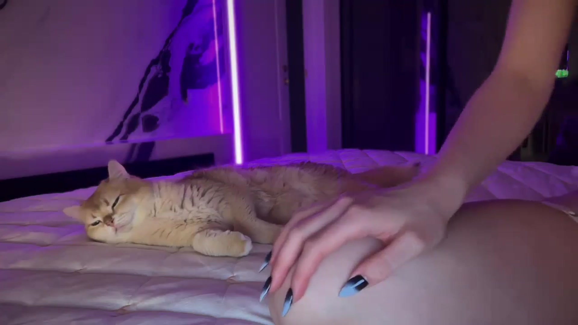 Gallery image thumbnail from UGLYGIRL_'s myfreecams stream on, 03/22/2025, 02:29 image 14 of 20