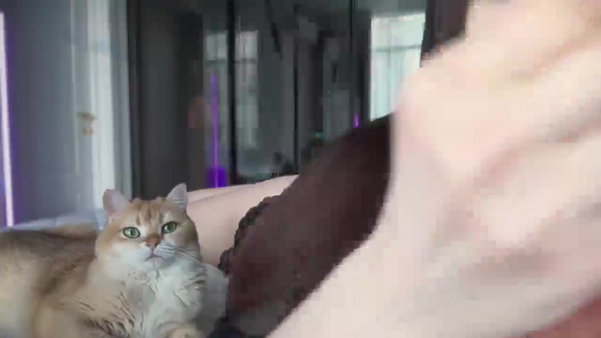 Gallery image thumbnail from UGLYGIRL_'s myfreecams stream on, 03/27/2025, 05:30 image 11 of 20