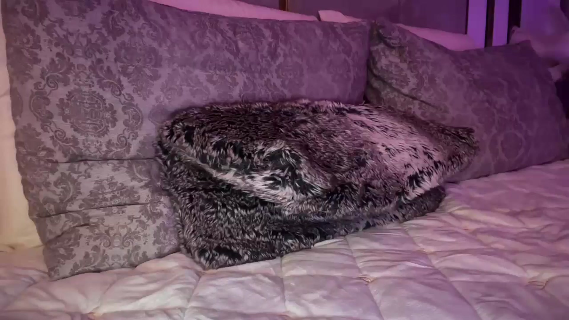 Gallery image thumbnail from UGLYGIRL_'s myfreecams stream on, 04/01/2025, 23:22 image 5 of 20