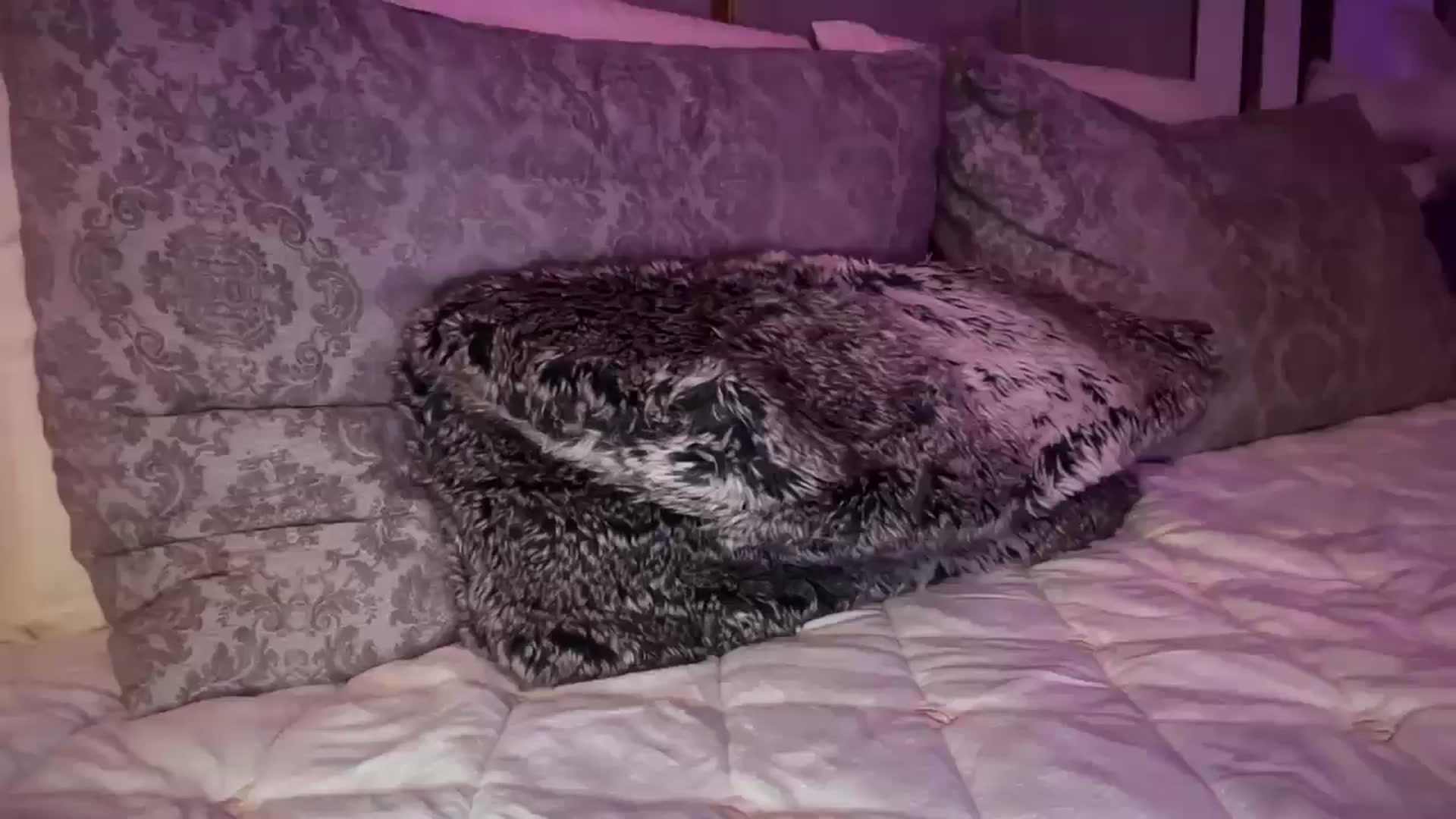 Gallery image thumbnail from UGLYGIRL_'s myfreecams stream on, 04/01/2025, 23:22 image 2 of 20