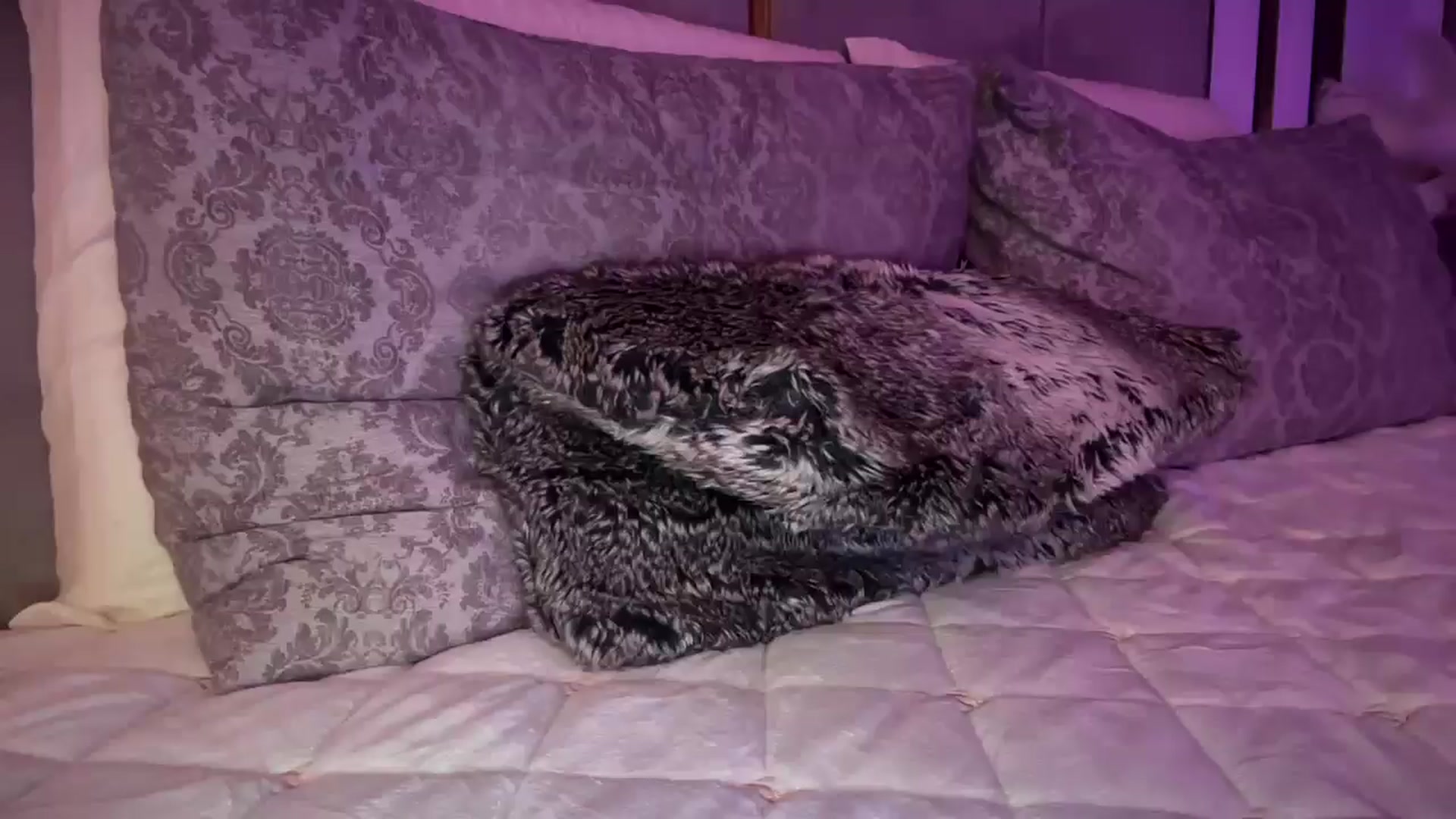 Gallery image thumbnail from UGLYGIRL_'s myfreecams stream on, 04/01/2025, 23:22 image 10 of 20