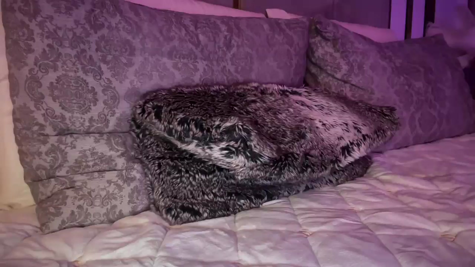 Gallery image thumbnail from UGLYGIRL_'s myfreecams stream on, 04/01/2025, 23:22 image 6 of 20