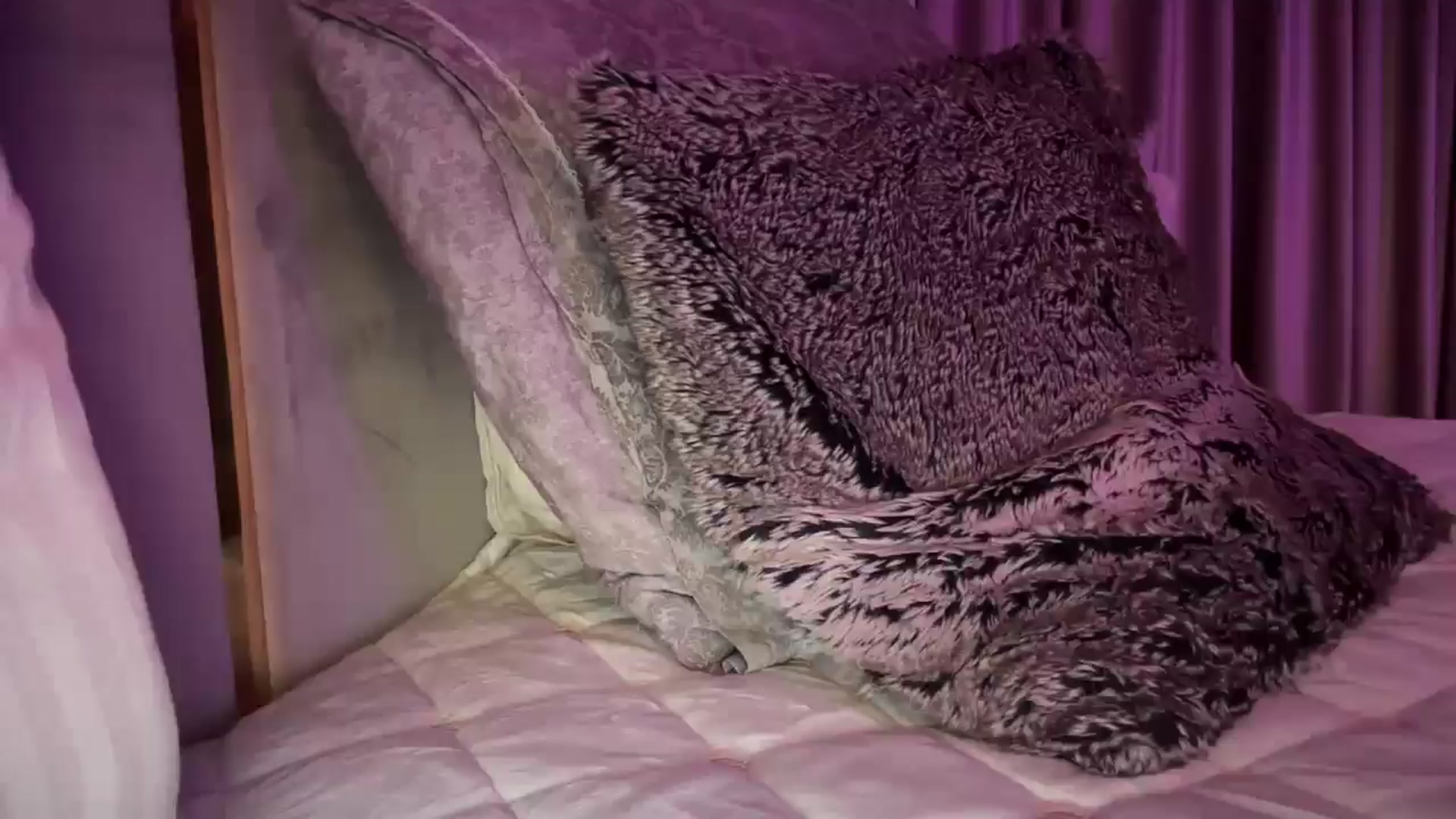 Gallery image thumbnail from UGLYGIRL_'s myfreecams stream on, 04/04/2025, 02:52 image 1 of 20