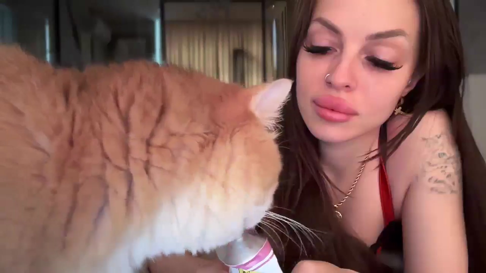 Gallery image thumbnail from UGLYGIRL_'s myfreecams stream on, 04/29/2025, 08:08 image 11 of 20
