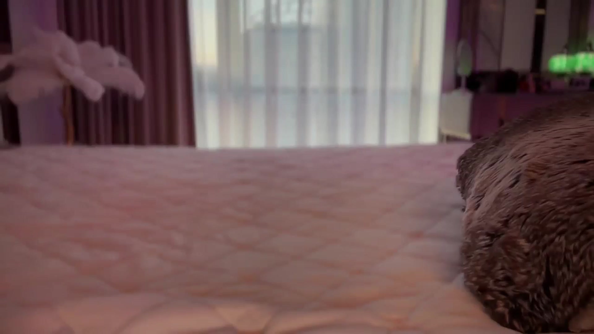 Gallery image thumbnail from UGLYGIRL_'s myfreecams stream on, 04/30/2025, 02:39 image 20 of 20