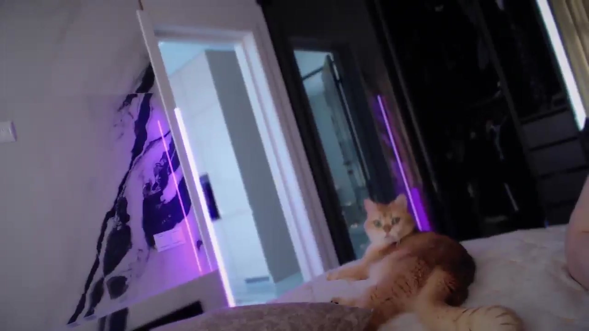 Gallery image thumbnail from UGLYGIRL_'s myfreecams stream on, 05/02/2025, 08:50 image 9 of 20