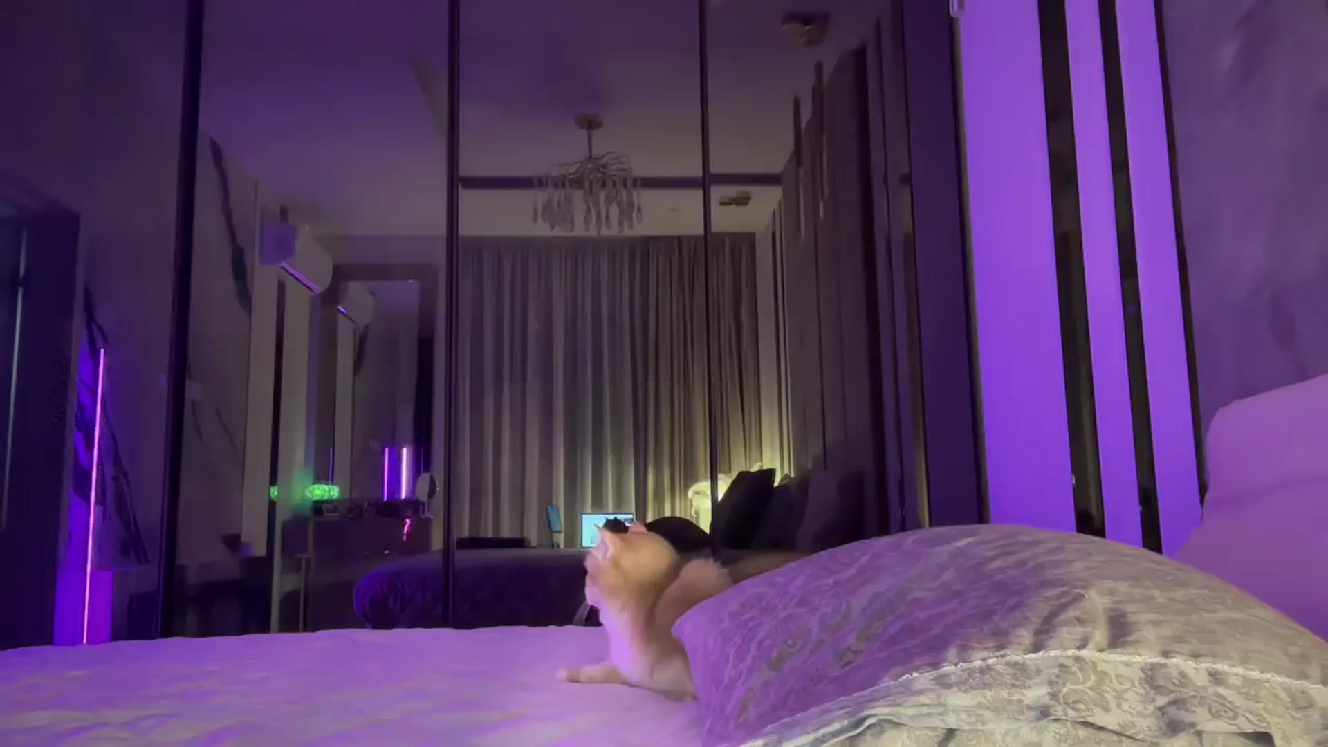 Gallery image thumbnail from UGLYGIRL_'s myfreecams stream on, 05/04/2025, 21:58 image 19 of 20
