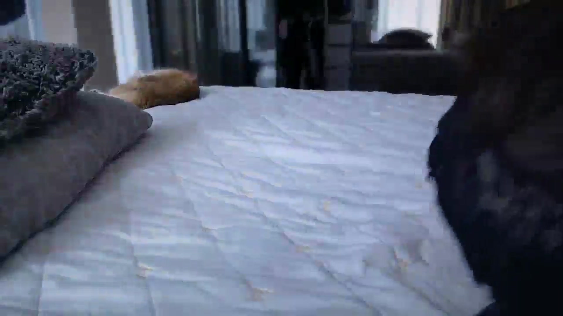 Gallery image thumbnail from UGLYGIRL_'s myfreecams stream on, 05/08/2025, 10:12 image 11 of 20