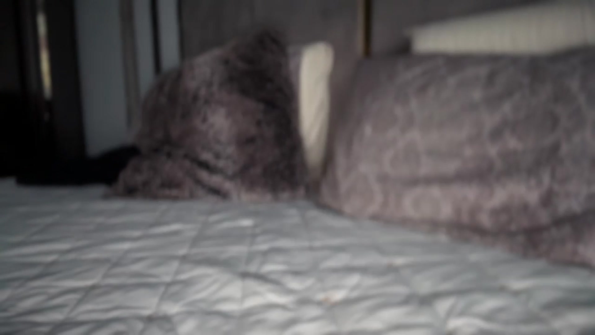 Gallery image thumbnail from UGLYGIRL_'s myfreecams stream on, 05/13/2025, 17:48 image 17 of 20