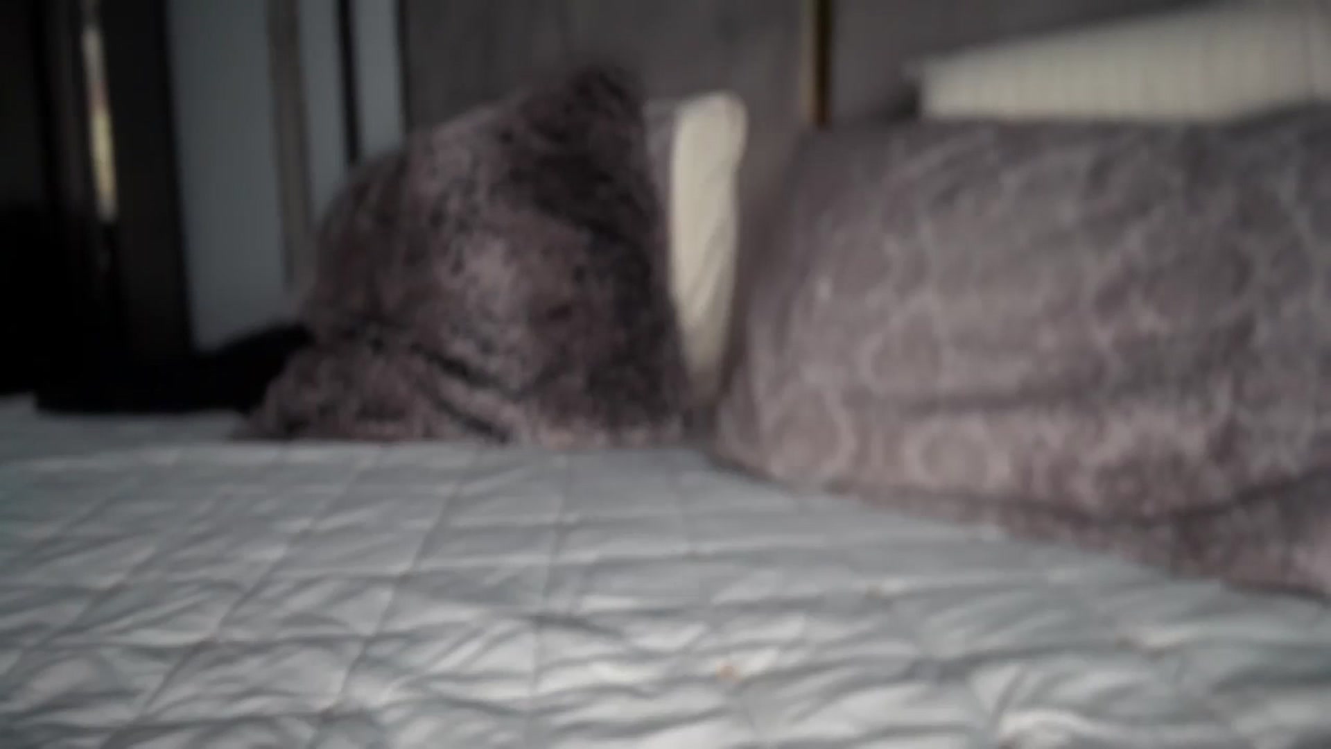 Gallery image thumbnail from UGLYGIRL_'s myfreecams stream on, 05/13/2025, 17:48 image 16 of 20