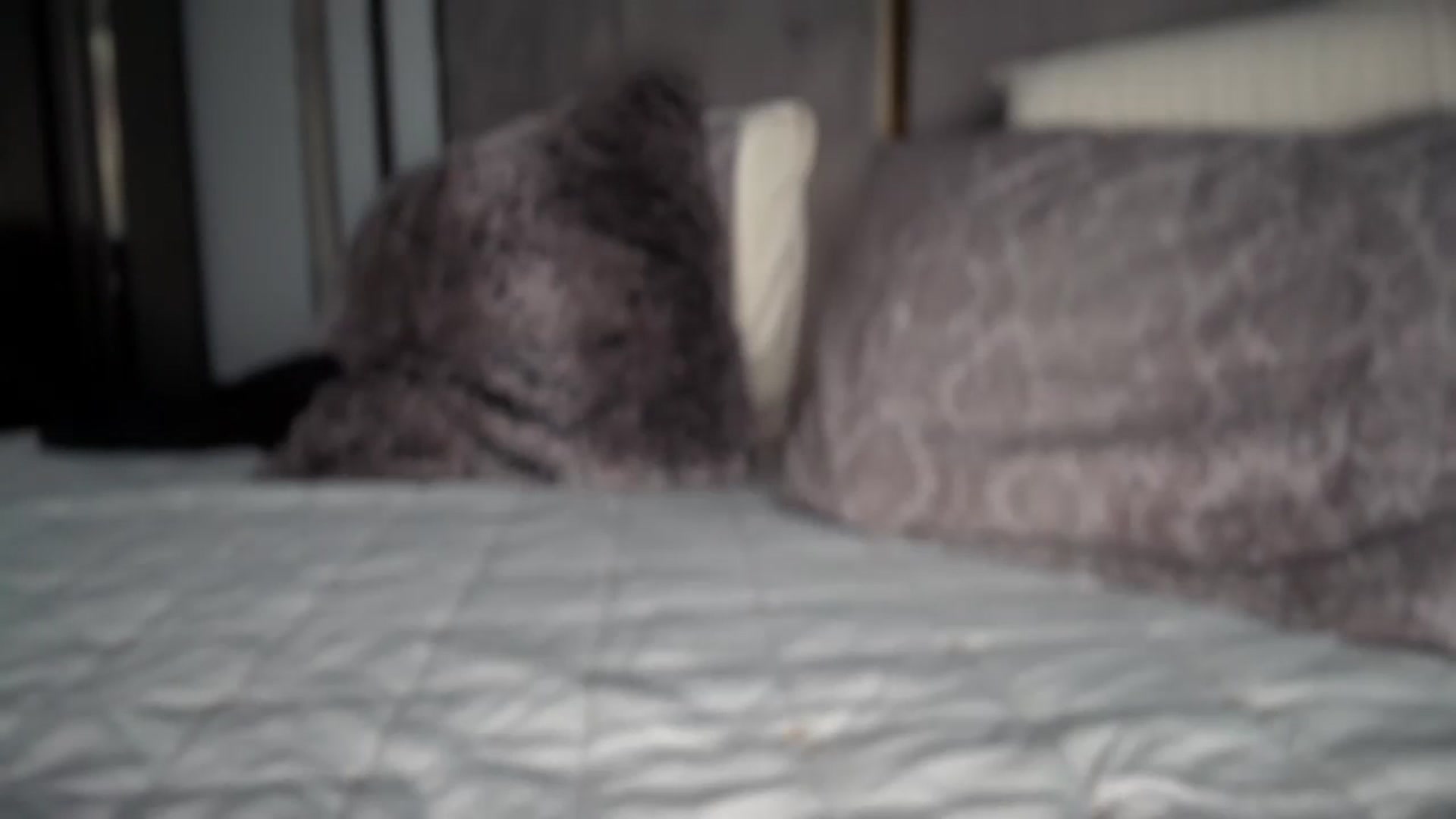 Gallery image thumbnail from UGLYGIRL_'s myfreecams stream on, 05/13/2025, 17:48 image 15 of 20