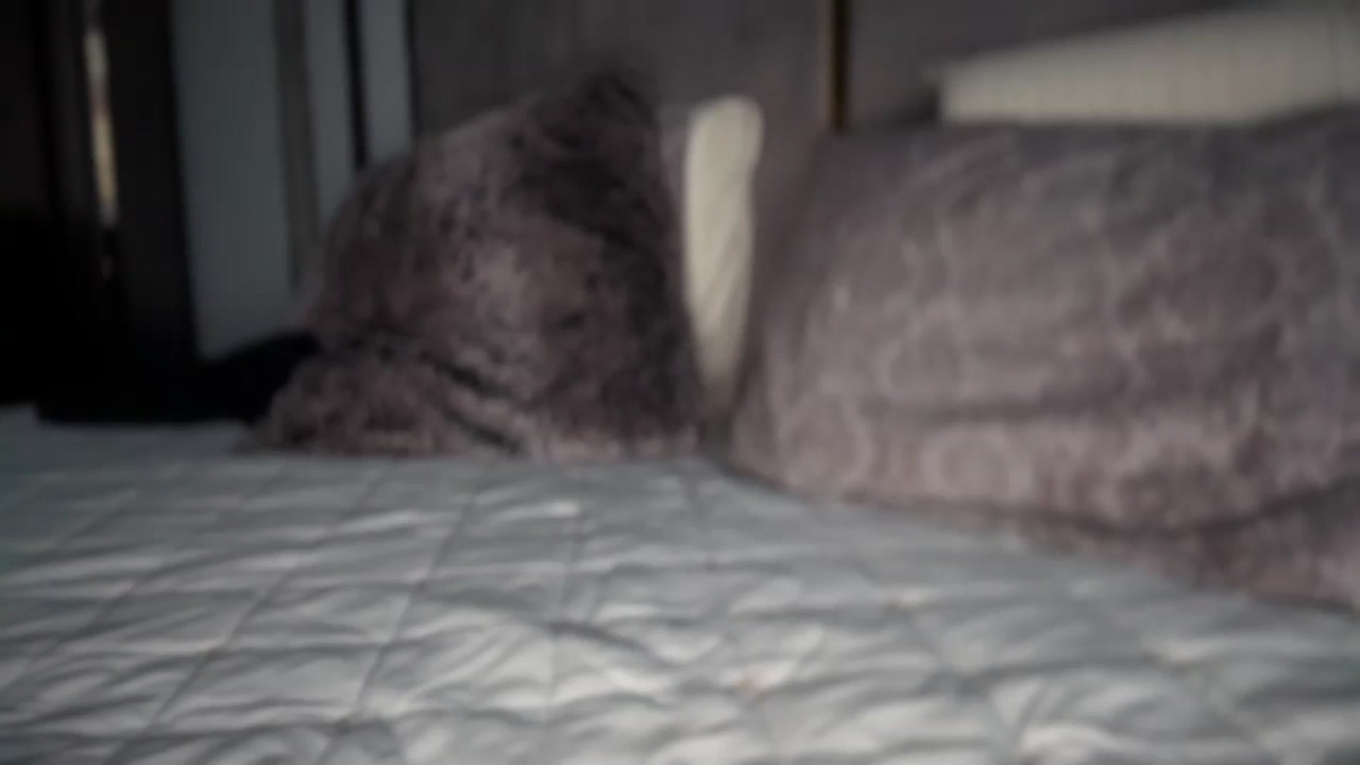 Gallery image thumbnail from UGLYGIRL_'s myfreecams stream on, 05/13/2025, 17:48 image 18 of 20