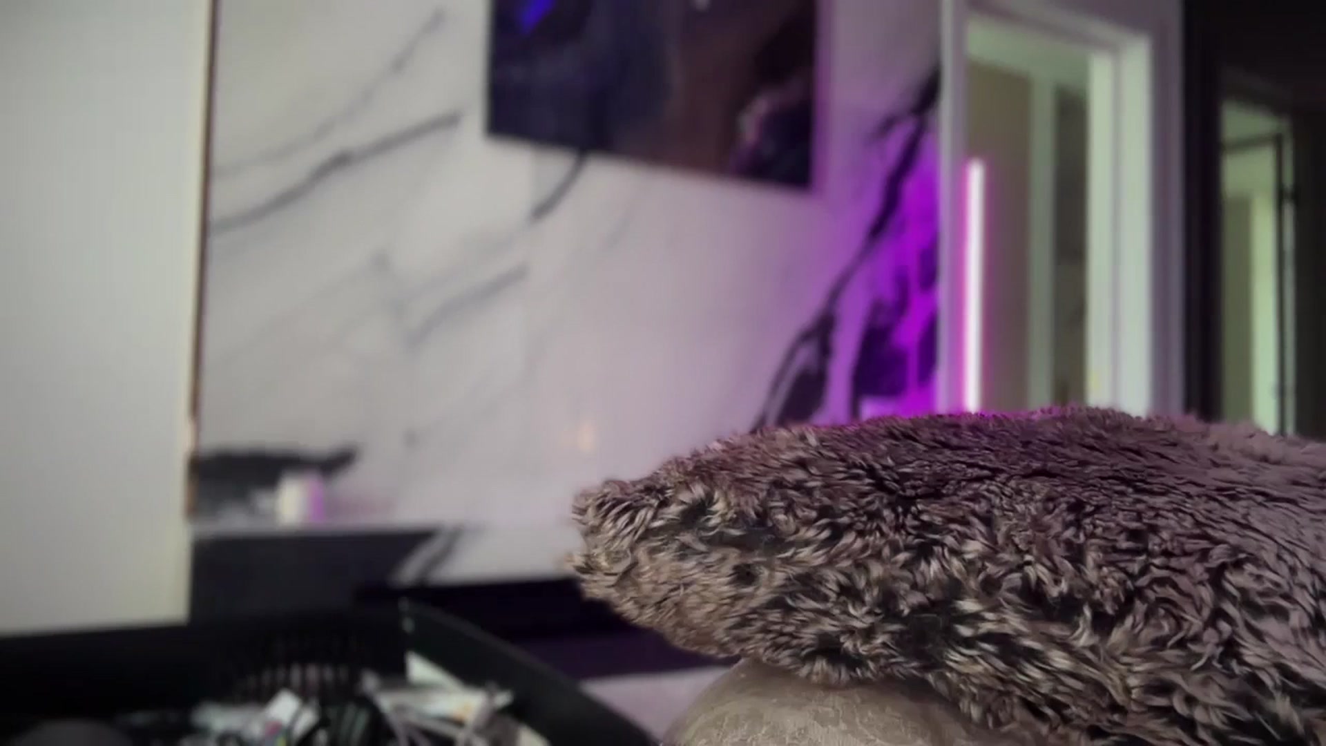 Gallery image thumbnail from UGLYGIRL_'s myfreecams stream on, 06/04/2025, 13:04 image 18 of 20