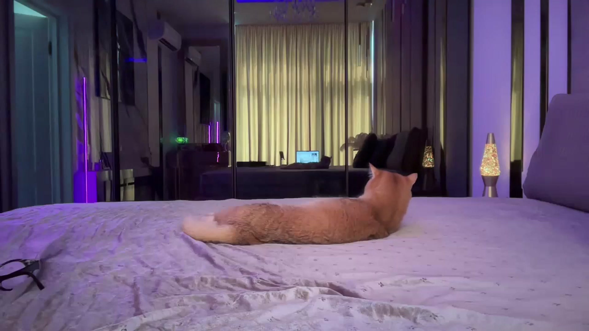 Gallery image thumbnail from UGLYGIRL_'s myfreecams stream on, 06/07/2025, 08:31 image 6 of 20