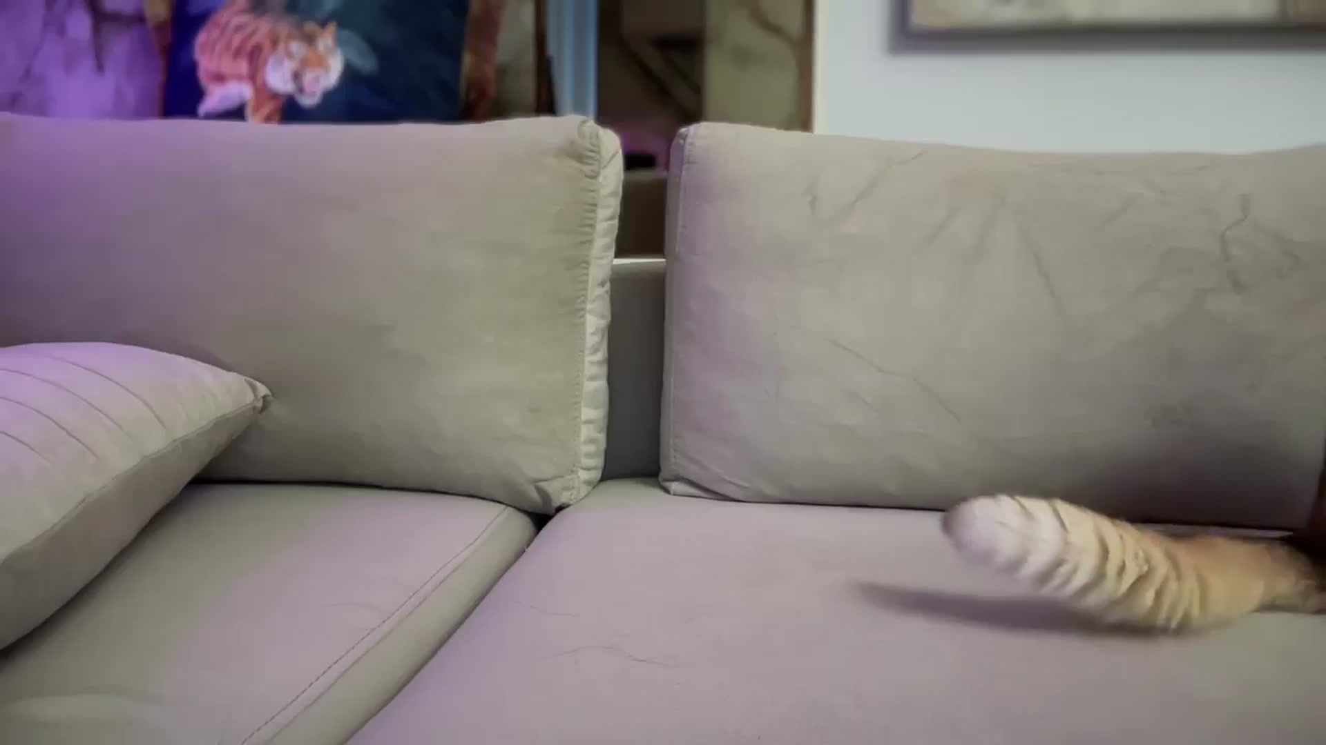 Gallery image thumbnail from UGLYGIRL_'s myfreecams stream on, 08/29/2025, 03:19 image 10 of 20