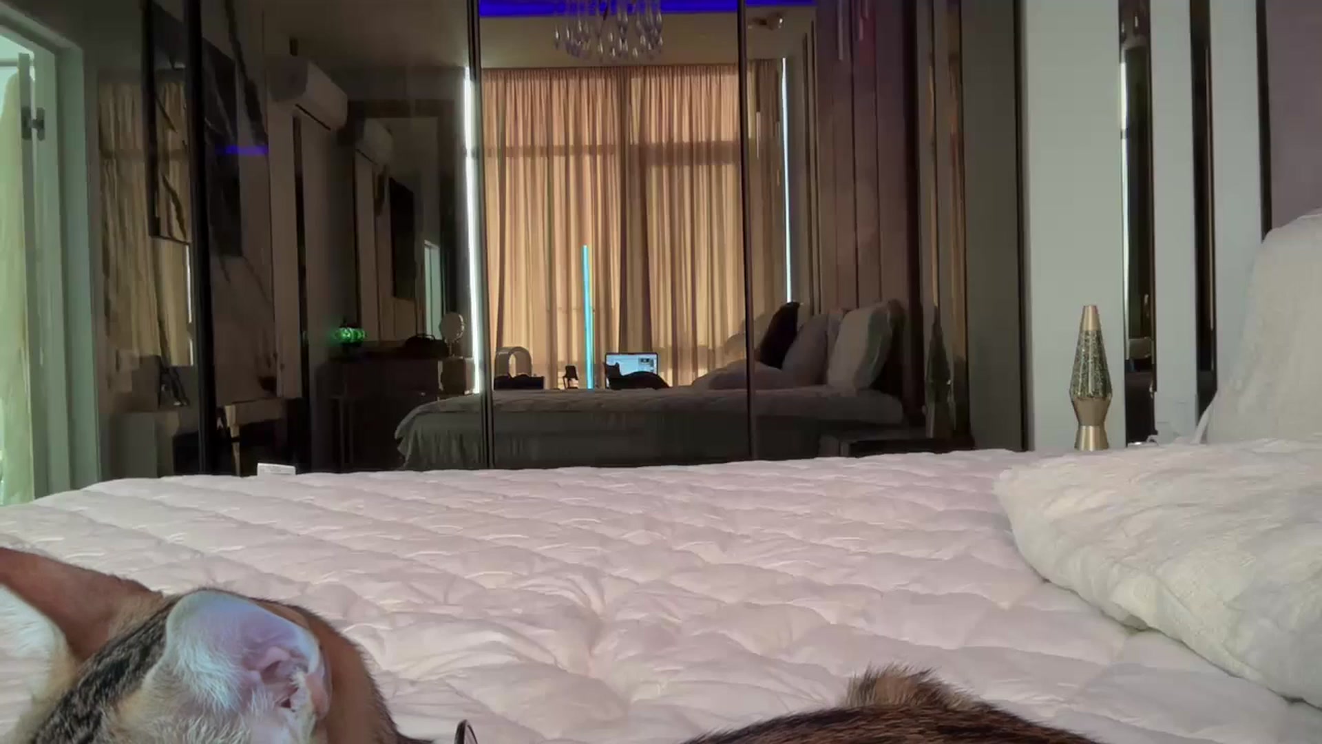 Gallery image thumbnail from UGLYGIRL_'s myfreecams stream on, 09/03/2025, 05:08 image 6 of 20