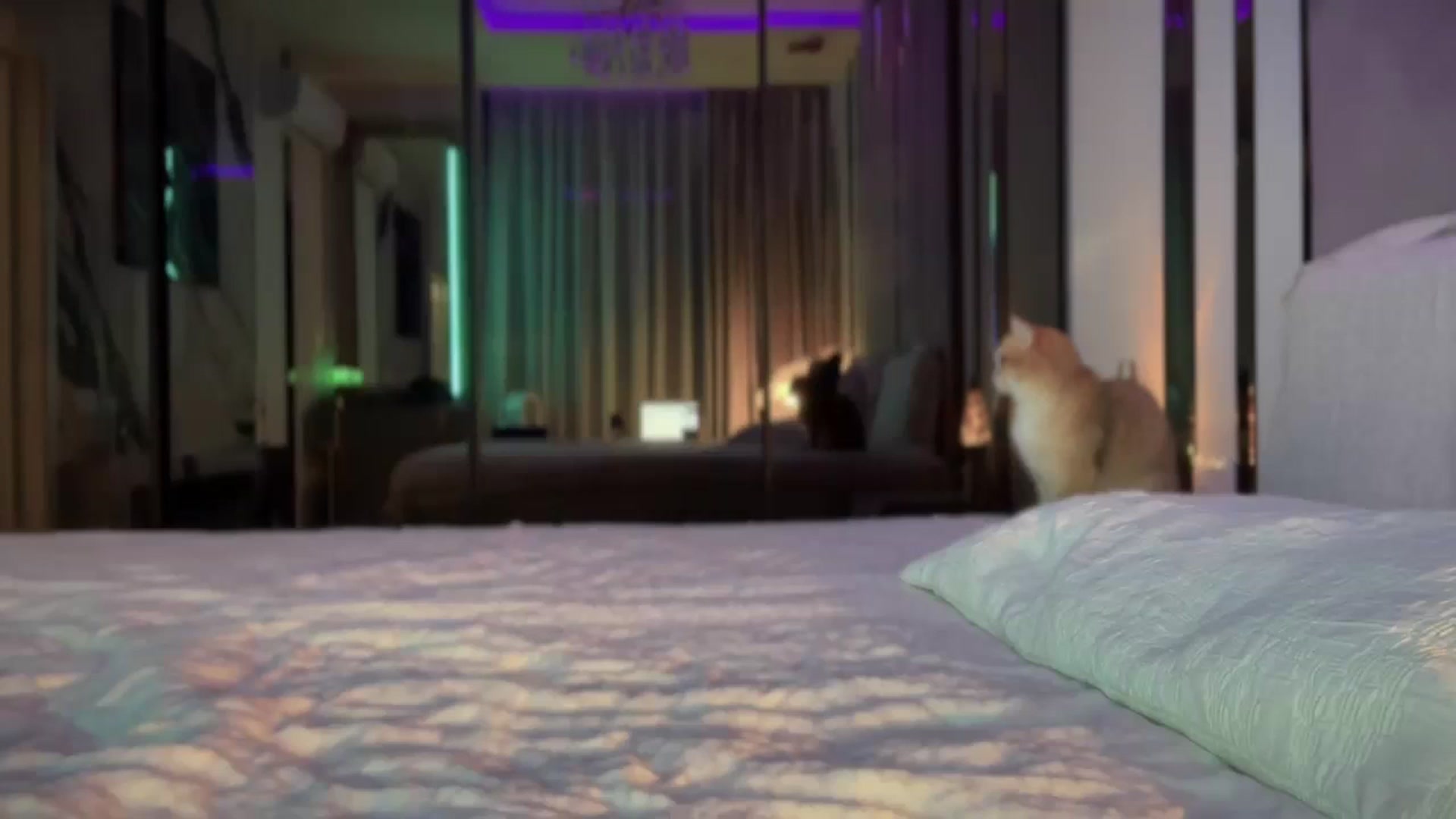 Gallery image thumbnail from UGLYGIRL_'s myfreecams stream on, 09/10/2025, 01:58 image 2 of 20