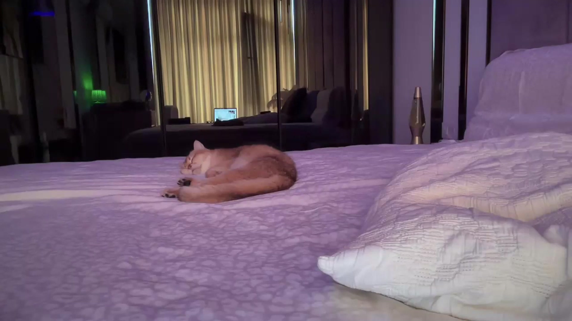 Gallery image thumbnail from UGLYGIRL_'s myfreecams stream on, 09/12/2025, 09:08 image 8 of 20
