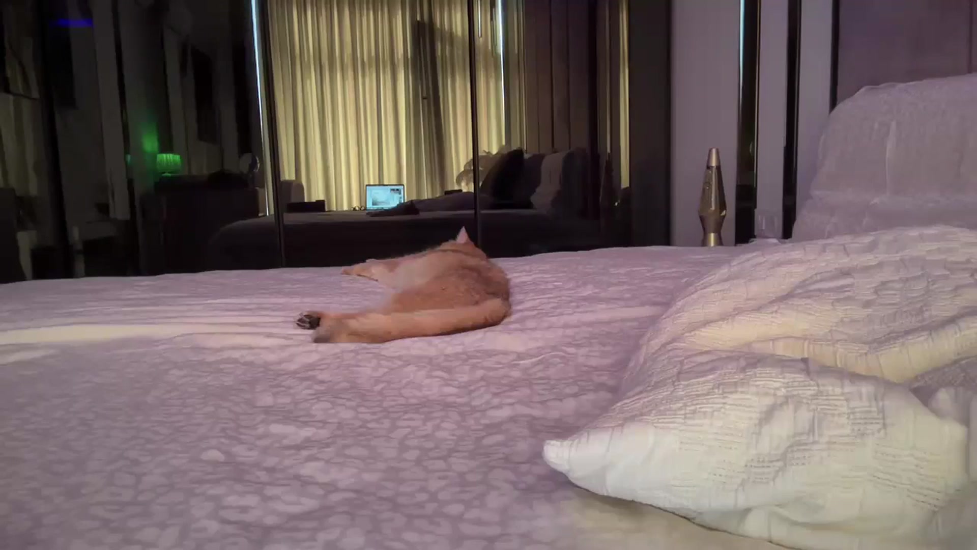 Gallery image thumbnail from UGLYGIRL_'s myfreecams stream on, 09/12/2025, 09:08 image 2 of 20