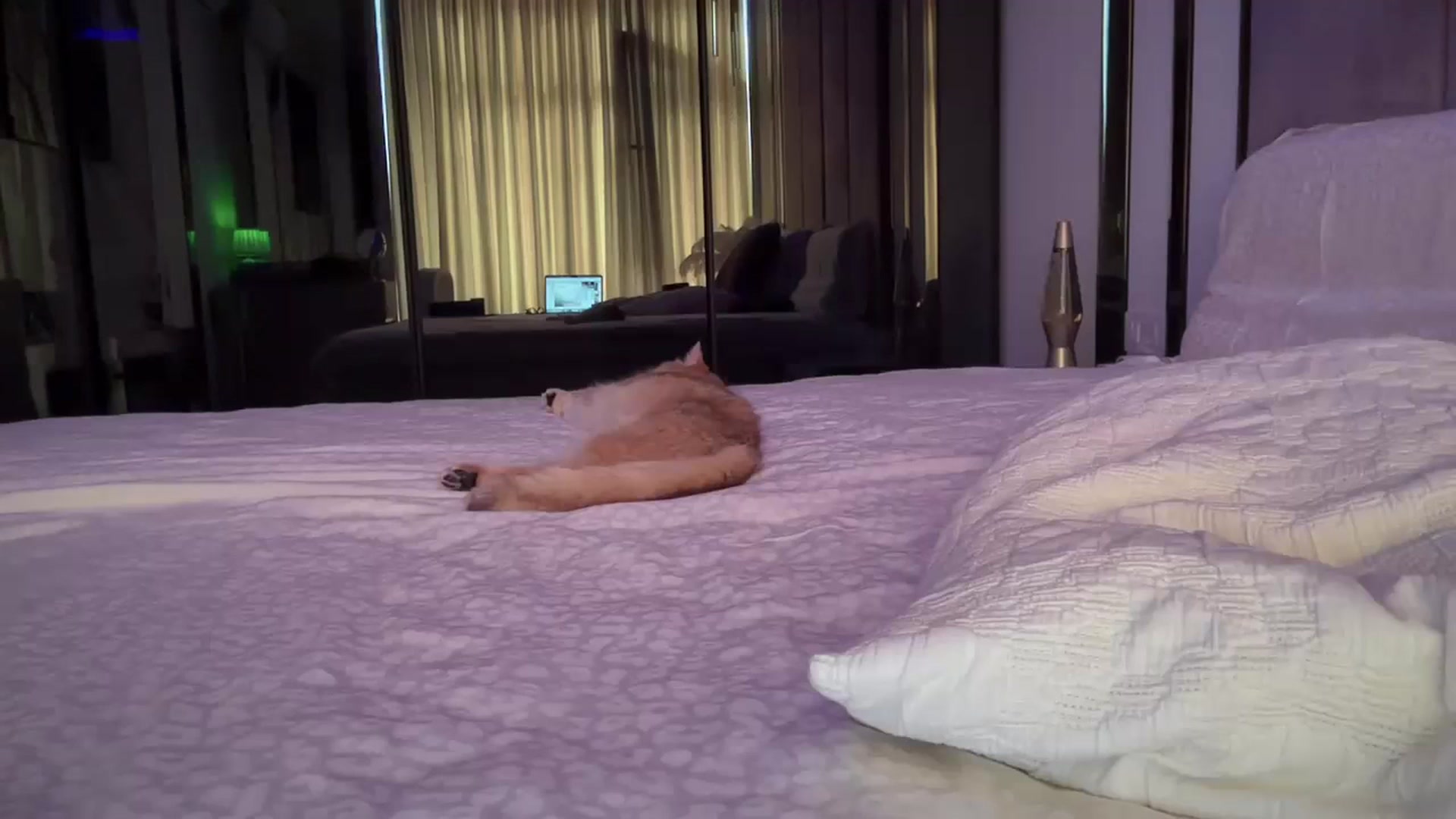 Gallery image thumbnail from UGLYGIRL_'s myfreecams stream on, 09/12/2025, 09:08 image 4 of 20