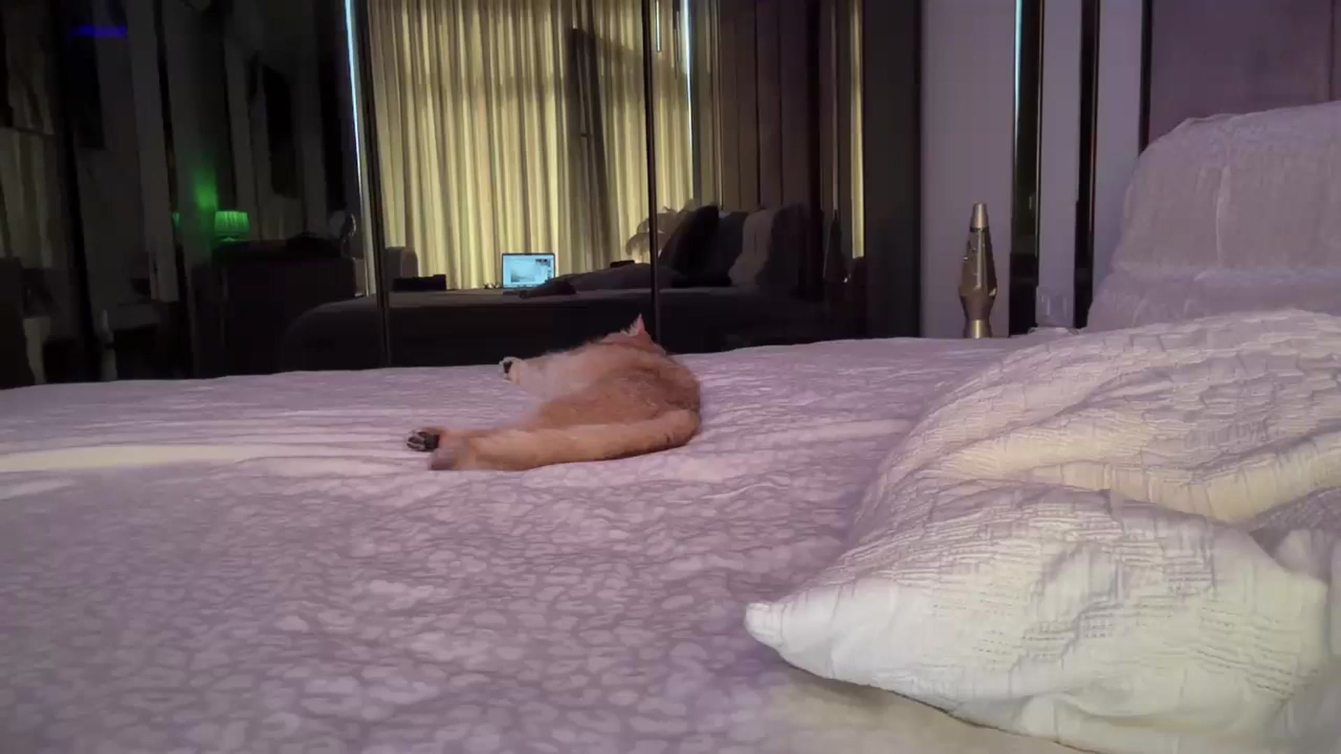 Gallery image thumbnail from UGLYGIRL_'s myfreecams stream on, 09/12/2025, 09:08 image 3 of 20
