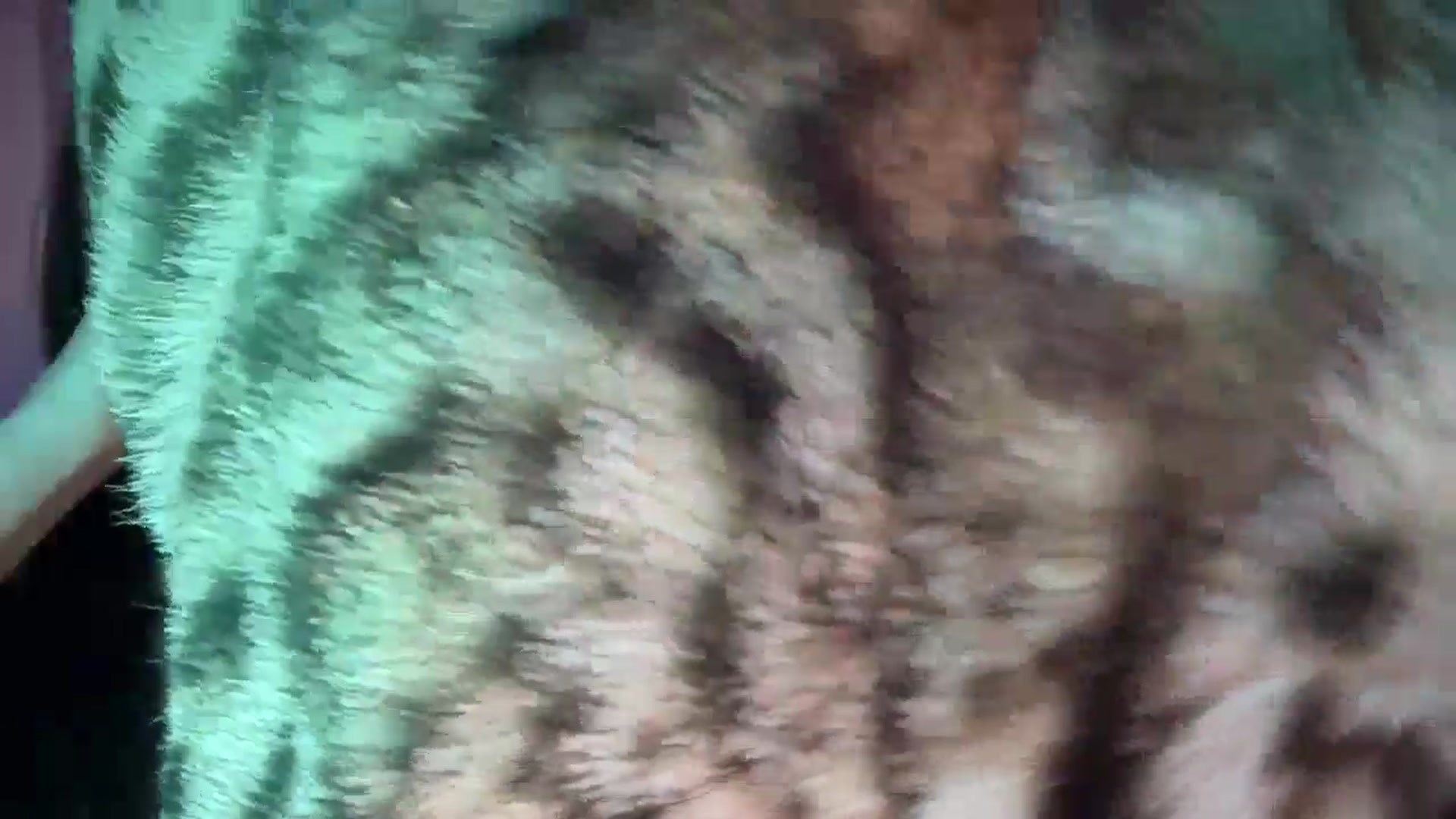 Gallery image thumbnail from UGLYGIRL_'s myfreecams stream on, 09/13/2025, 02:13 image 13 of 20