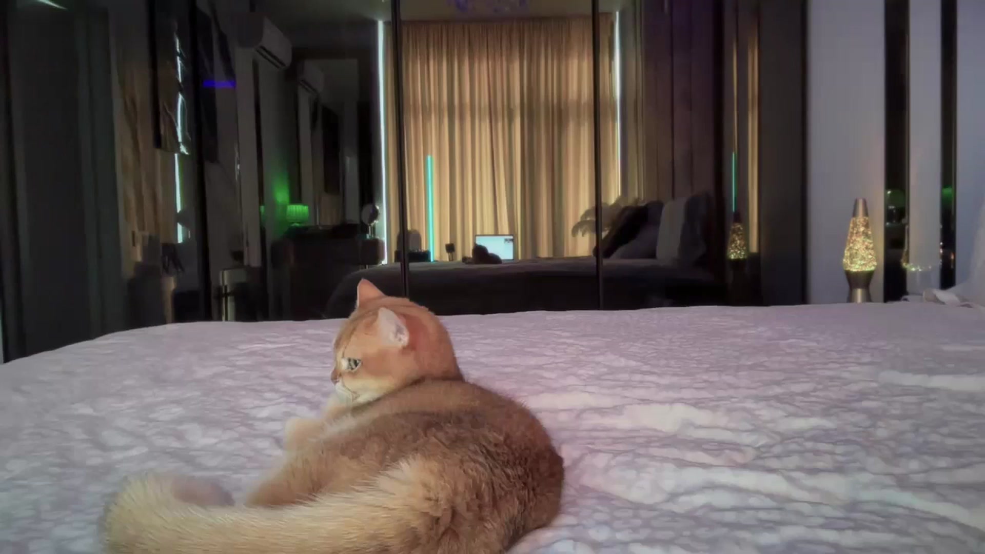 Gallery image thumbnail from UGLYGIRL_'s myfreecams stream on, 09/13/2025, 08:16 image 8 of 20