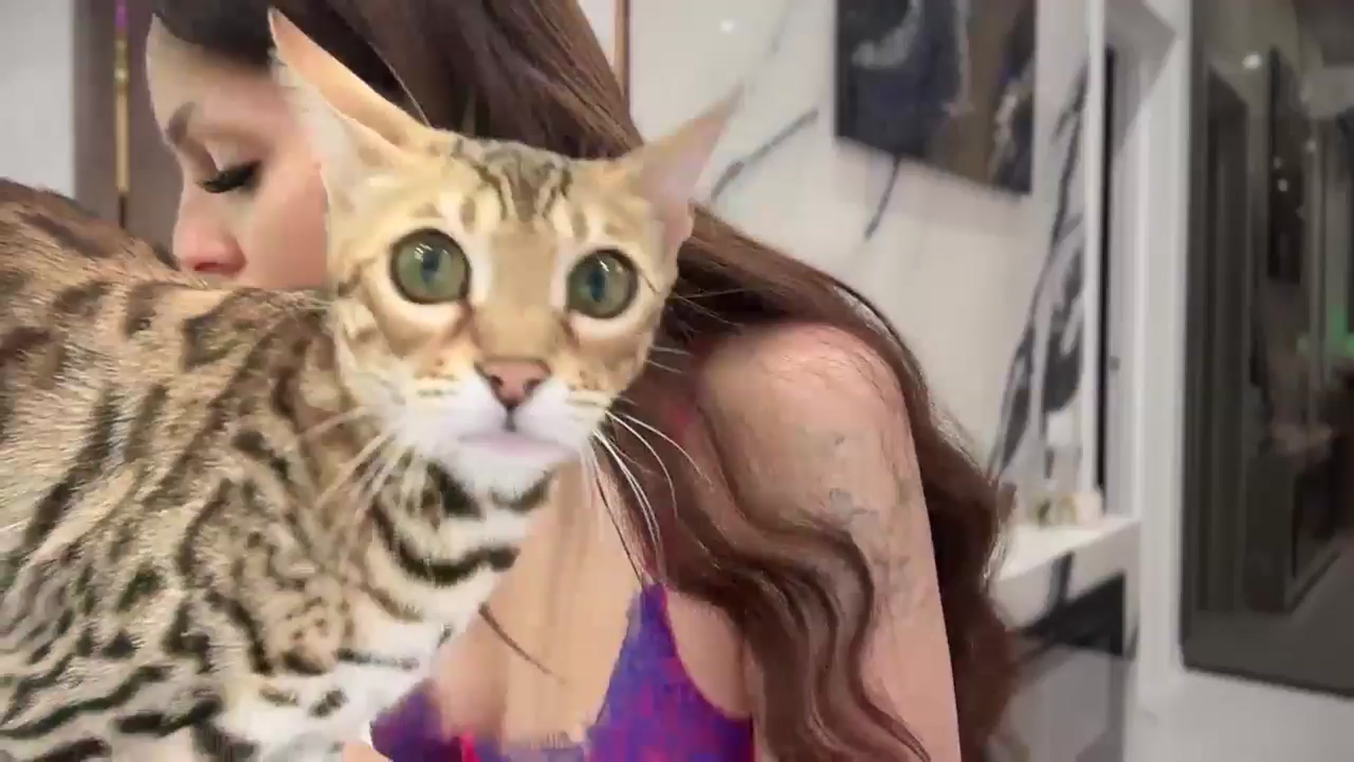 Gallery image thumbnail from UGLYGIRL_'s myfreecams stream on, 09/19/2025, 17:38 image 10 of 20