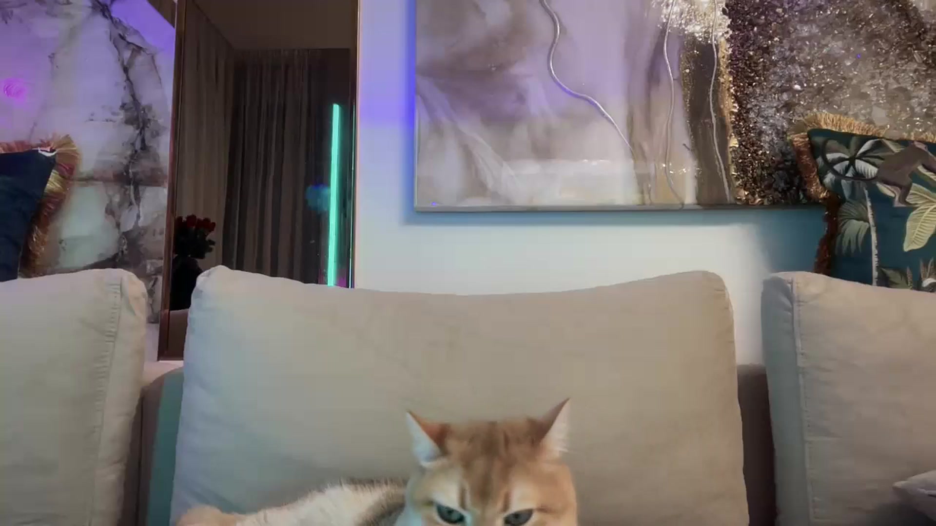Gallery image thumbnail from UGLYGIRL_'s myfreecams stream on, 10/01/2025, 19:35 image 2 of 20
