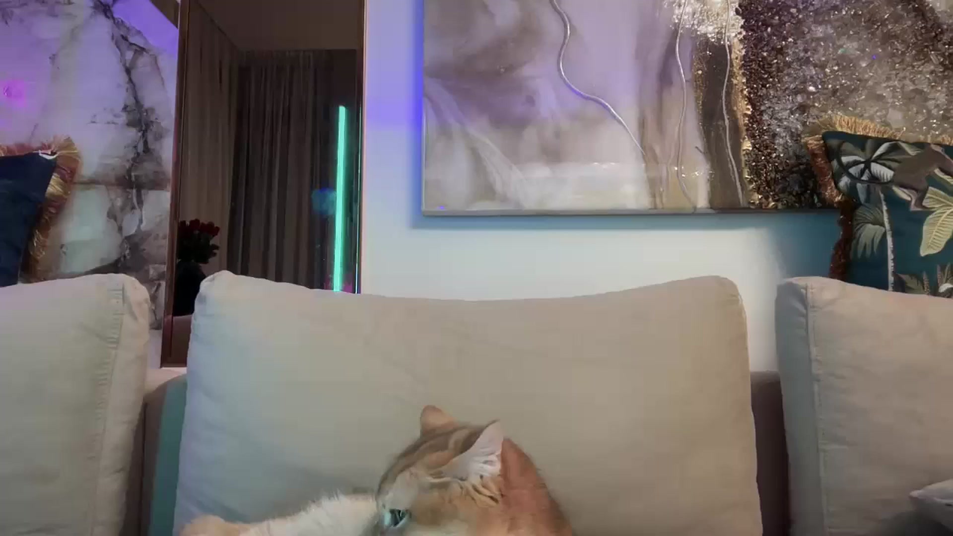 Gallery image thumbnail from UGLYGIRL_'s myfreecams stream on, 10/01/2025, 19:35 image 1 of 20