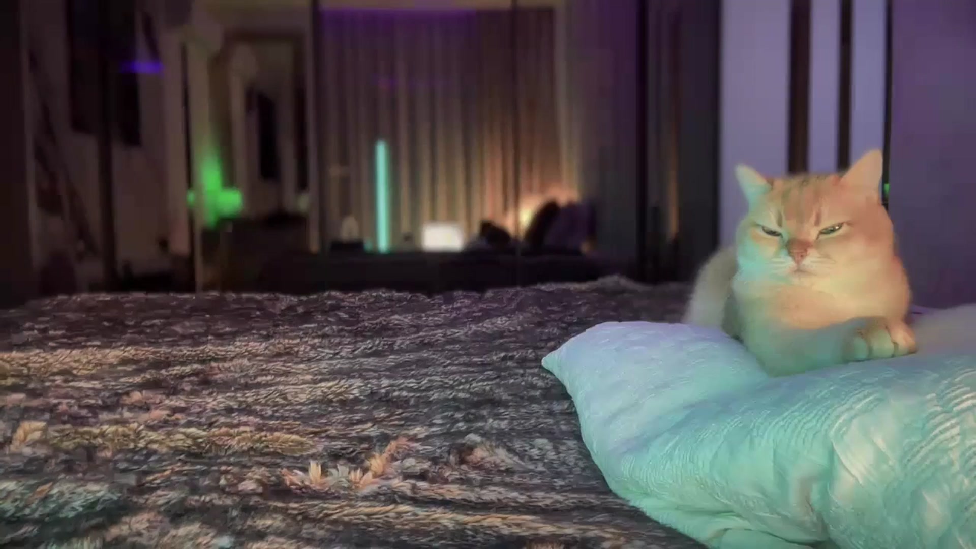 Gallery image thumbnail from UGLYGIRL_'s myfreecams stream on, 10/10/2025, 24:16 image 20 of 20
