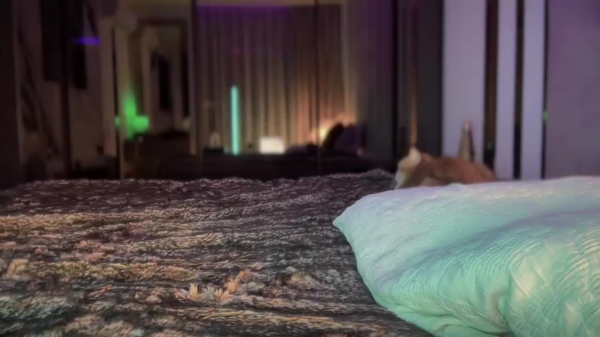 Gallery image thumbnail from UGLYGIRL_'s myfreecams stream on, 10/10/2025, 24:16 image 16 of 20